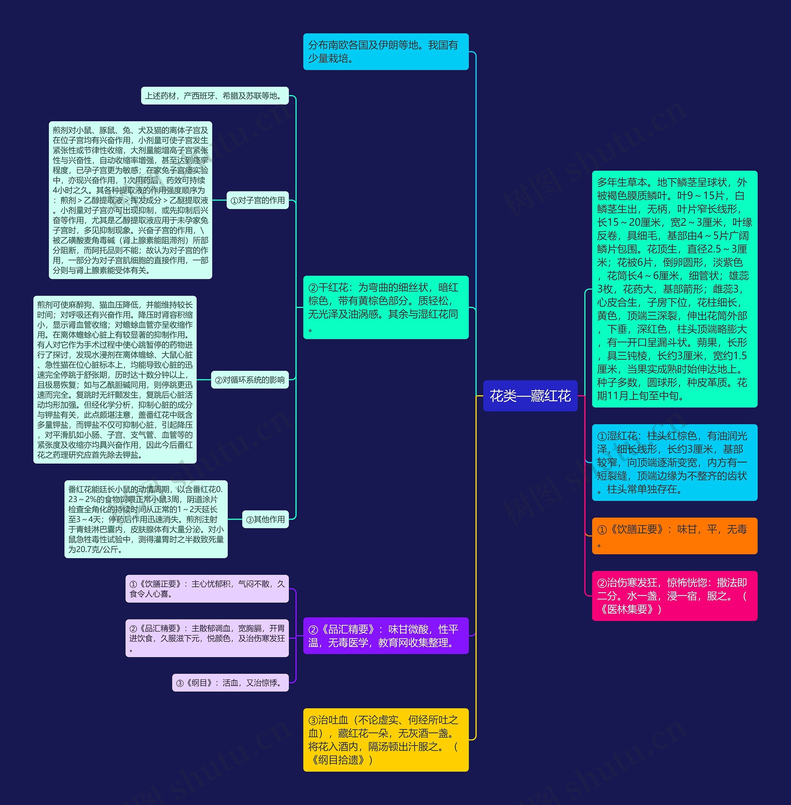 花类—藏红花思维导图