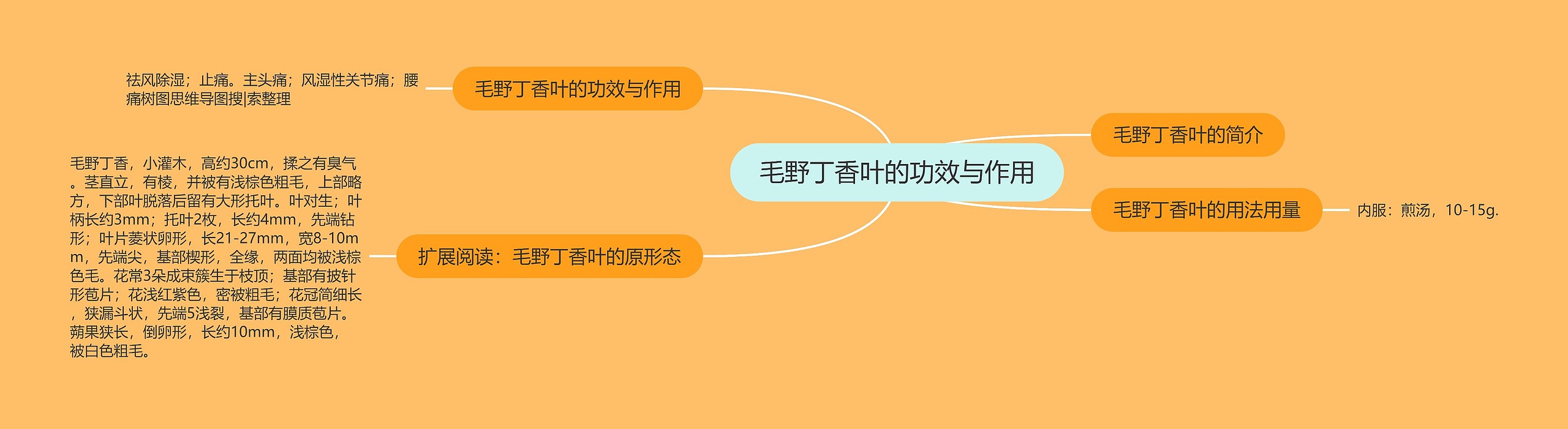 毛野丁香叶的功效与作用思维导图