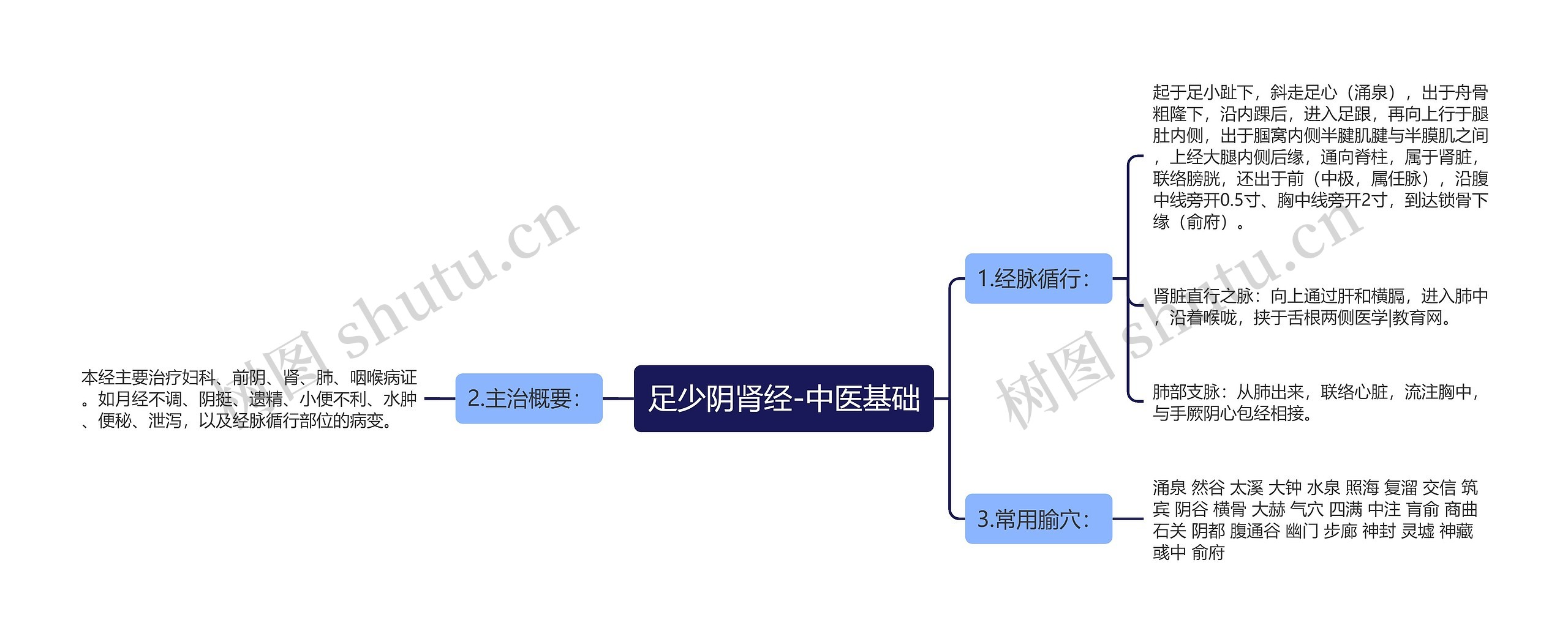 足少阴肾经-中医基础