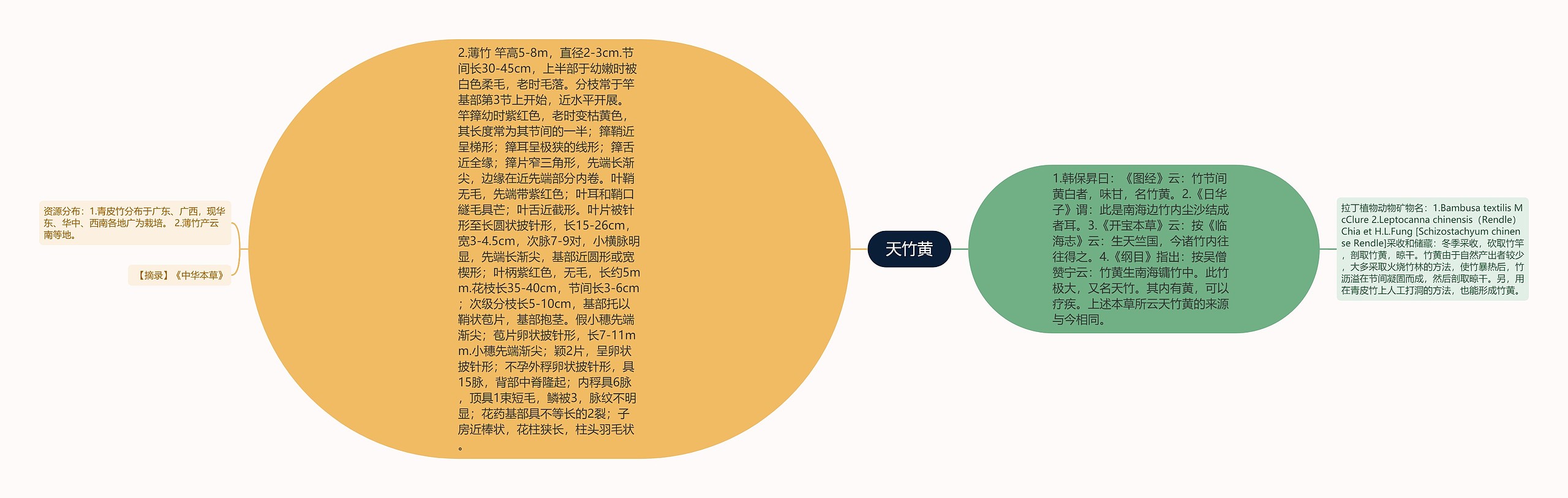 天竹黄思维导图