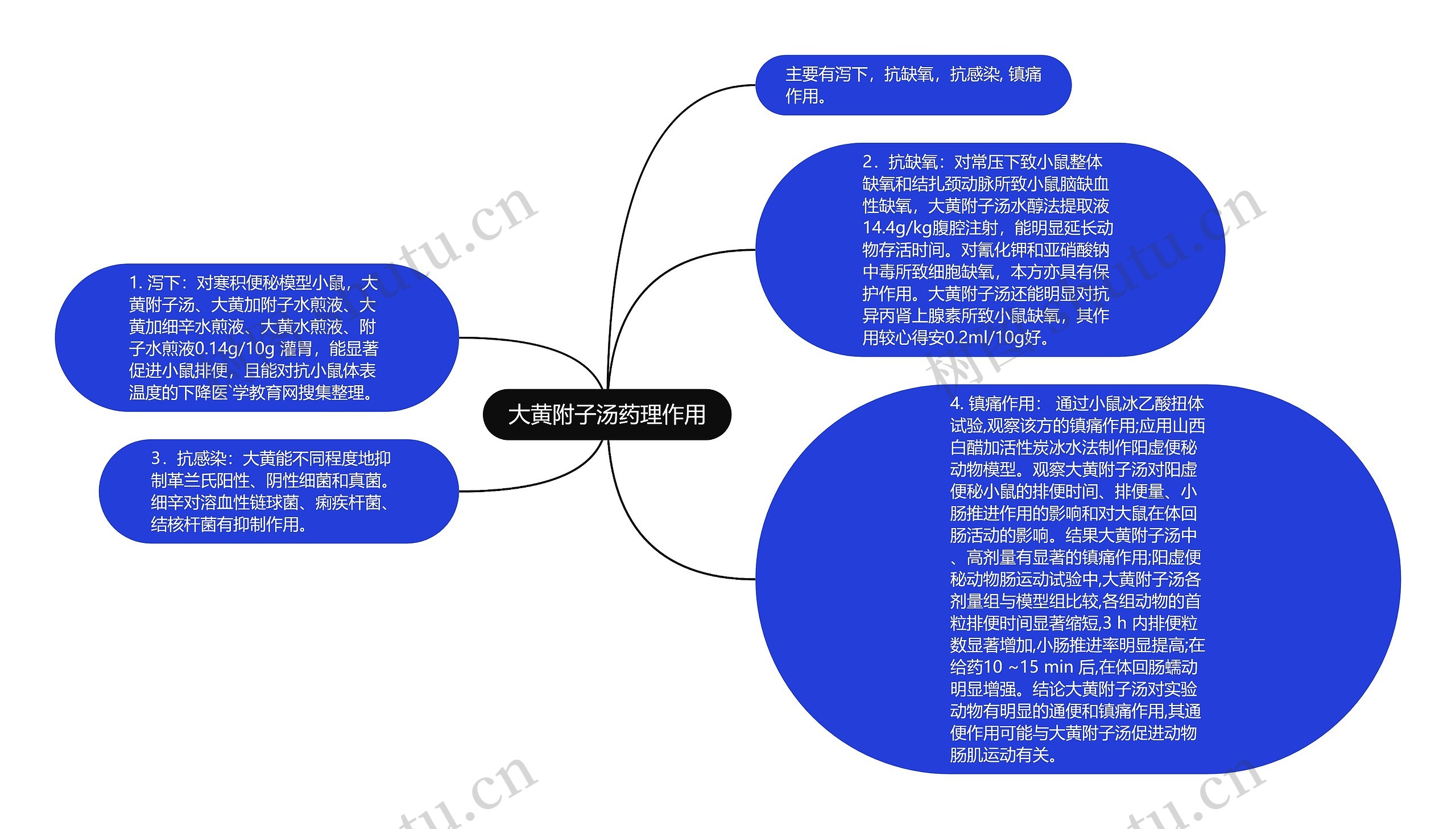 大黄附子汤药理作用思维导图