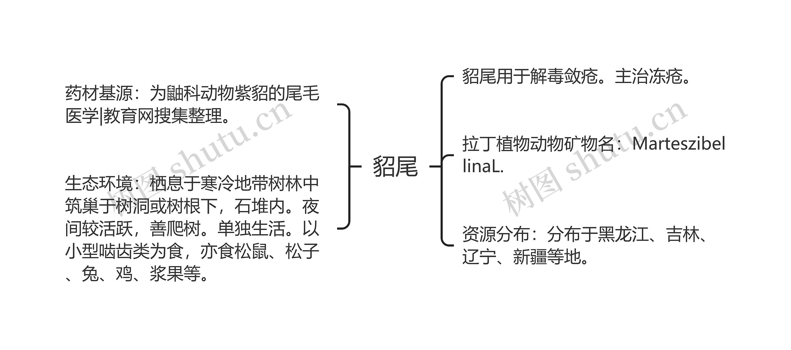 貂尾思维导图