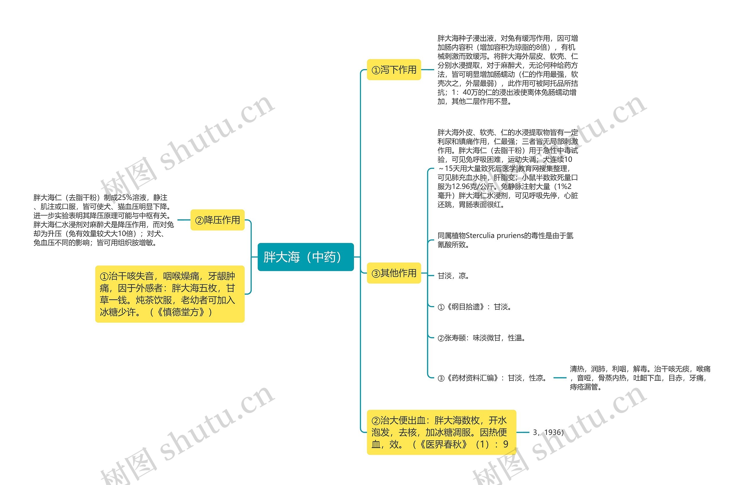 胖大海（中药）思维导图