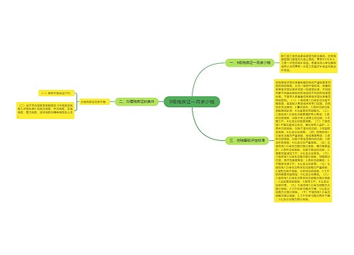 9级残疾证一月多少钱
