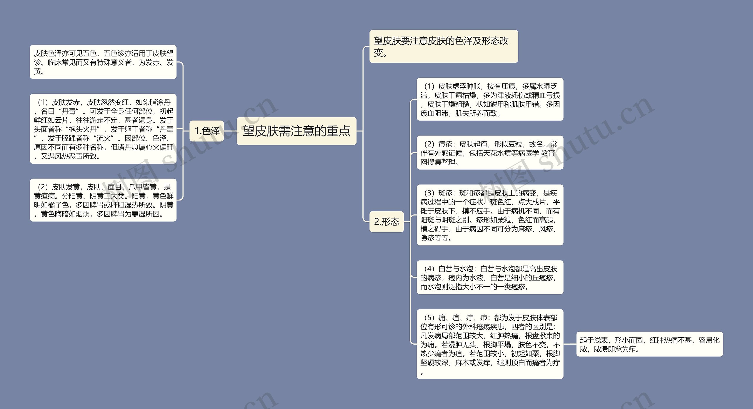 望皮肤需注意的重点思维导图