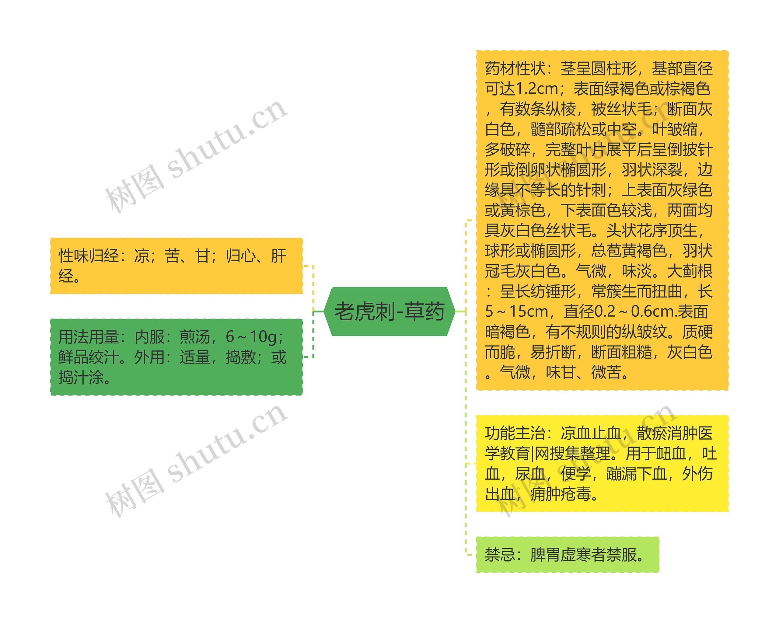 老虎刺-草药思维导图