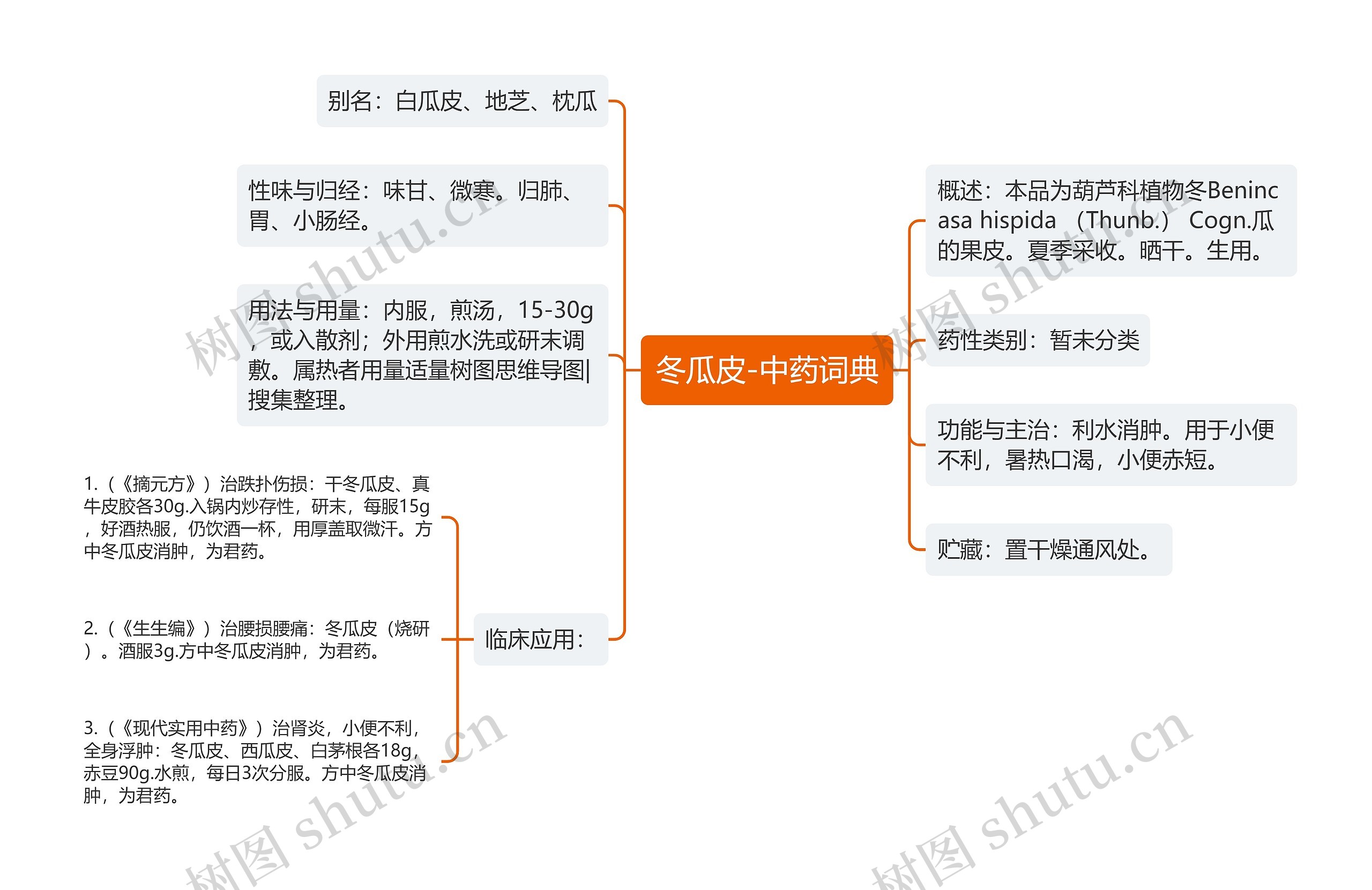 冬瓜皮-中药词典思维导图