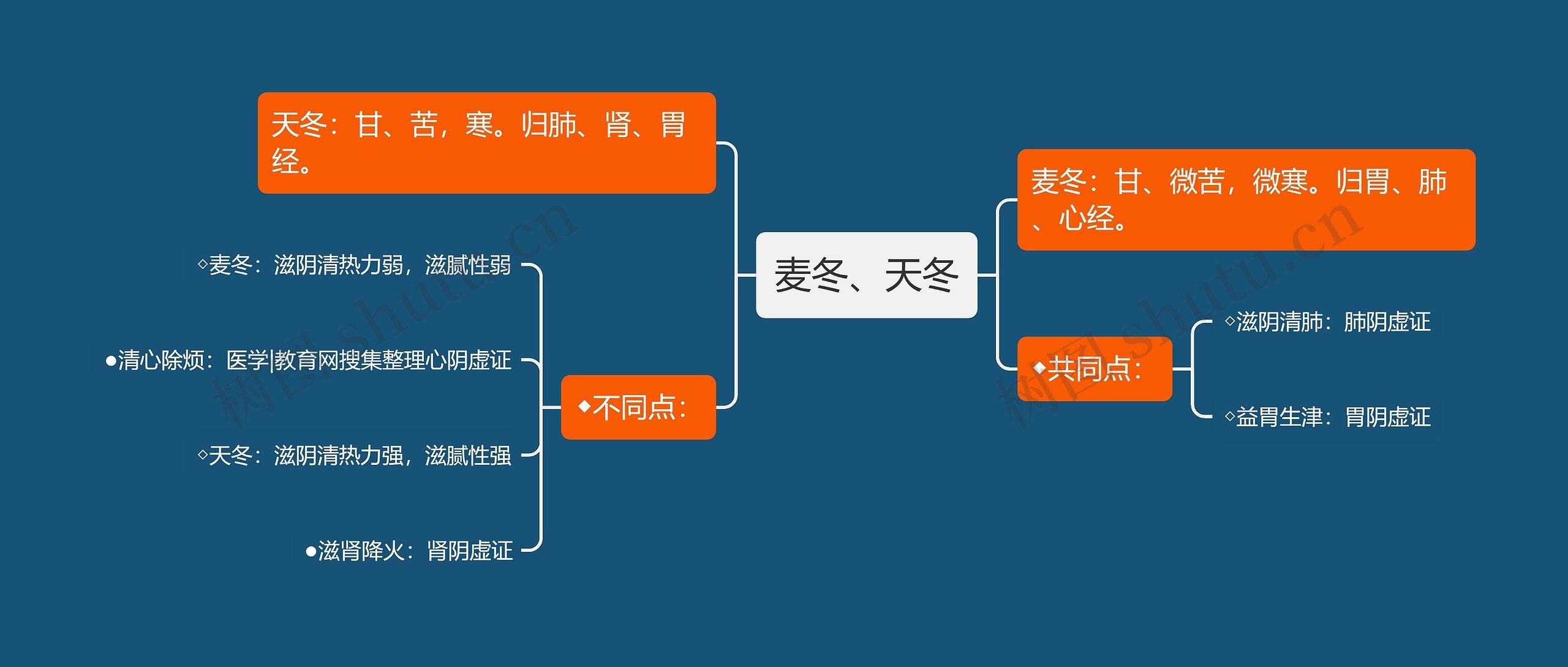 麦冬、天冬思维导图