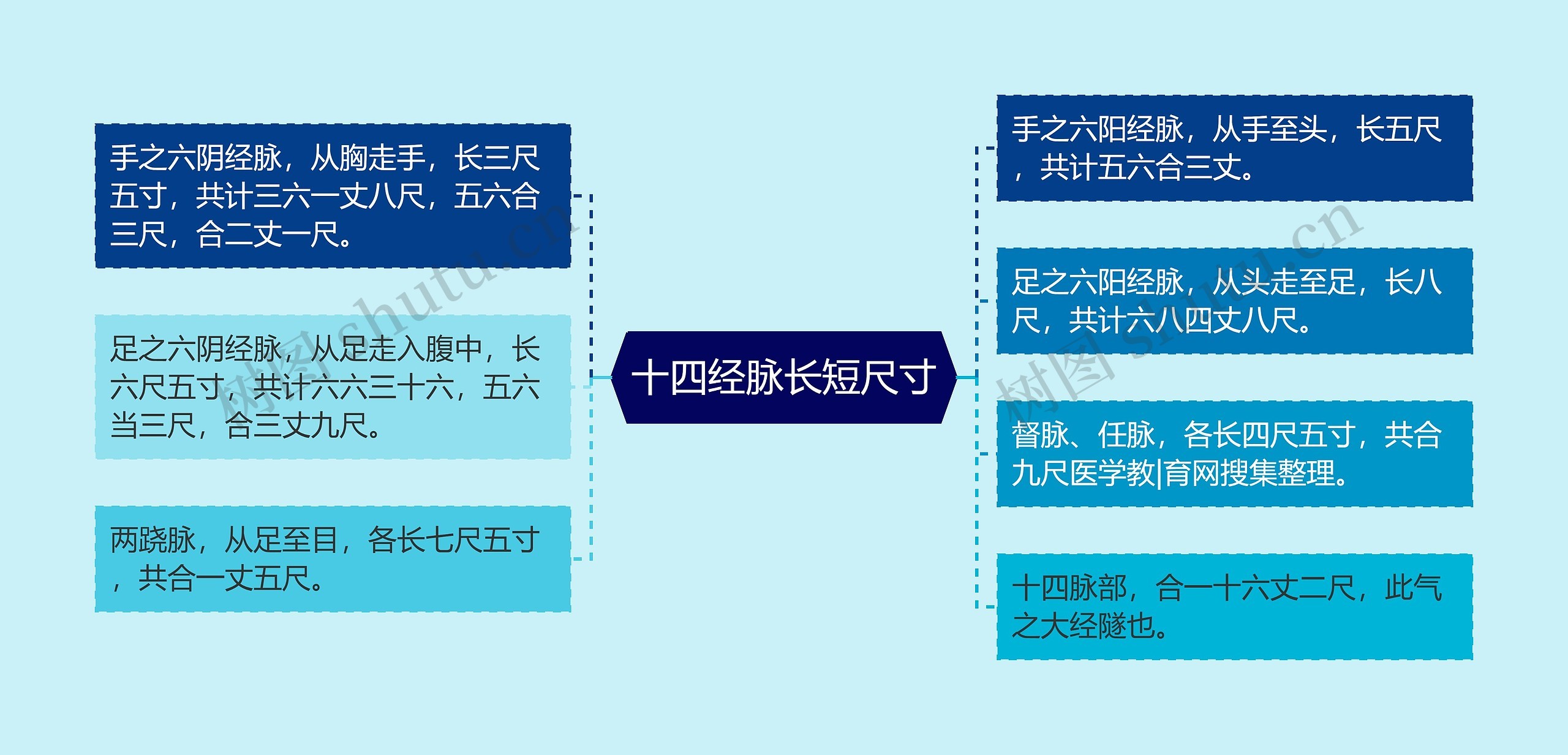 十四经脉长短尺寸思维导图