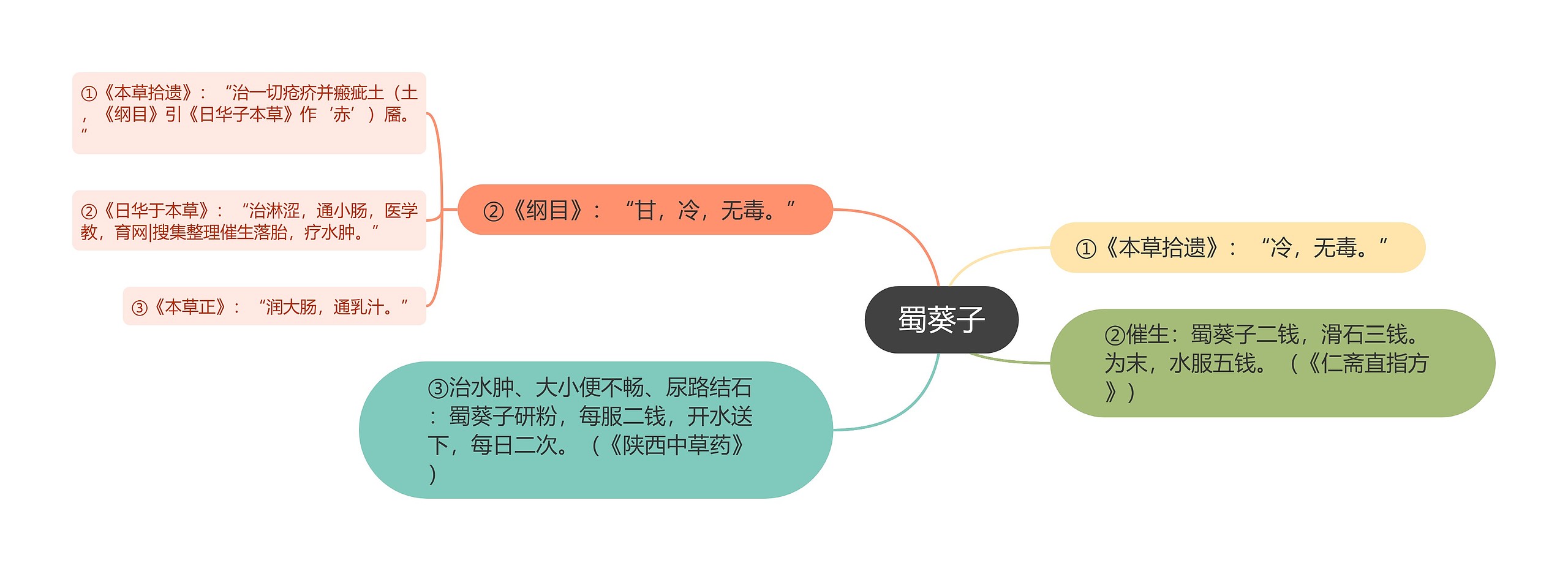 蜀葵子思维导图高清图 蜀葵子思维导图