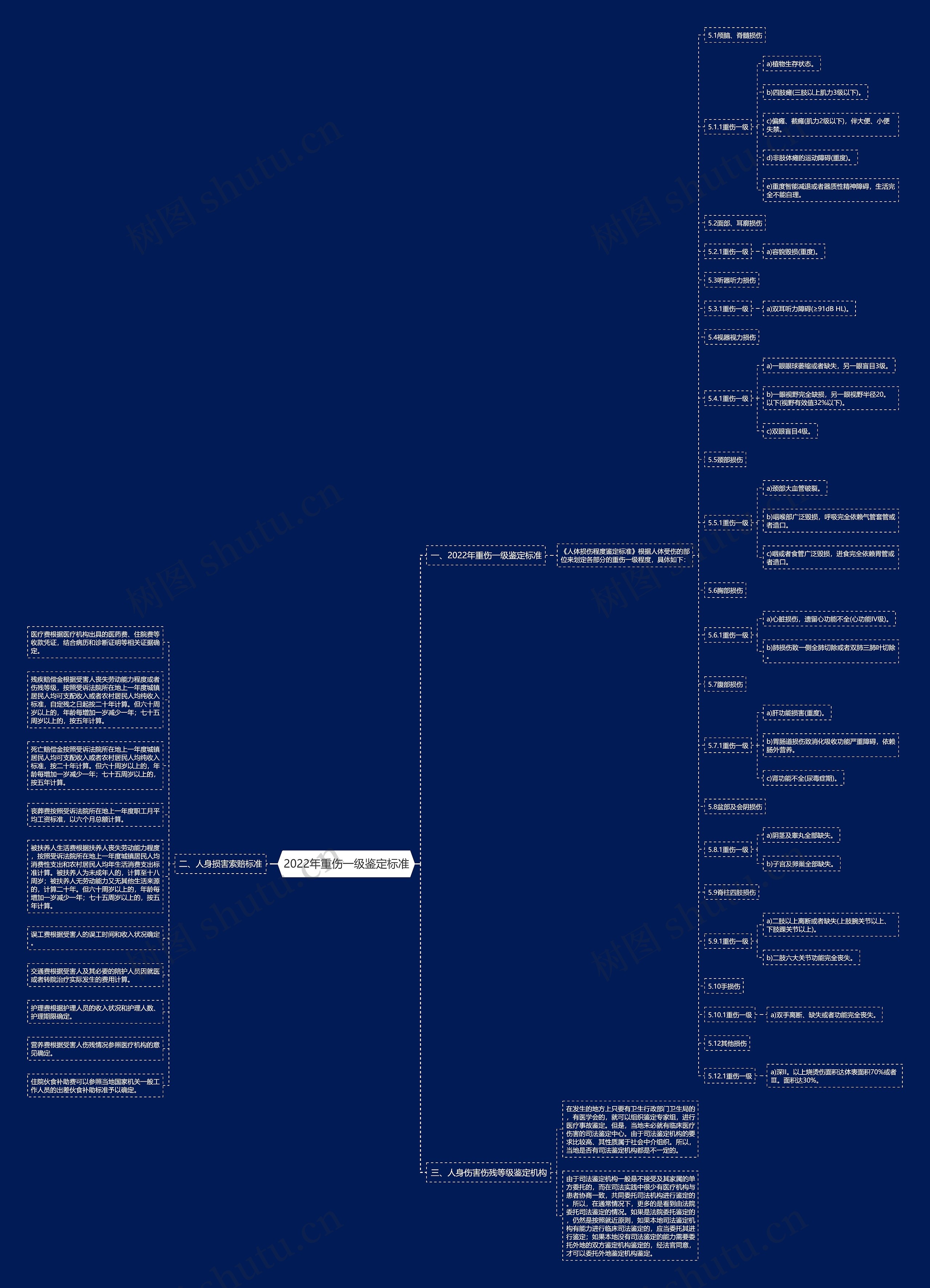 2022年重伤一级鉴定标准思维导图