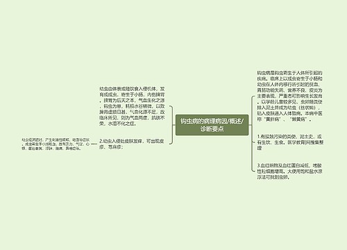 钩虫病的病理病因/概述/诊断要点