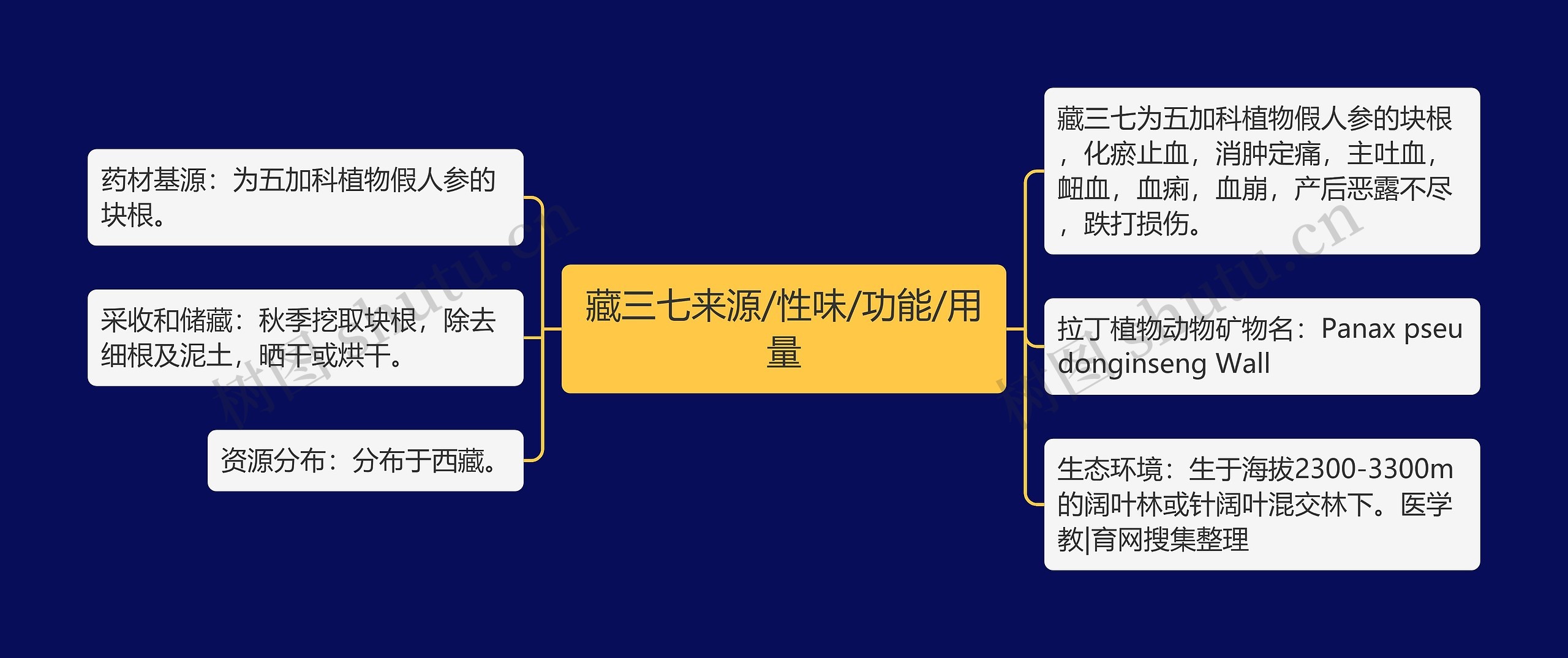 藏三七来源/性味/功能/用量思维导图