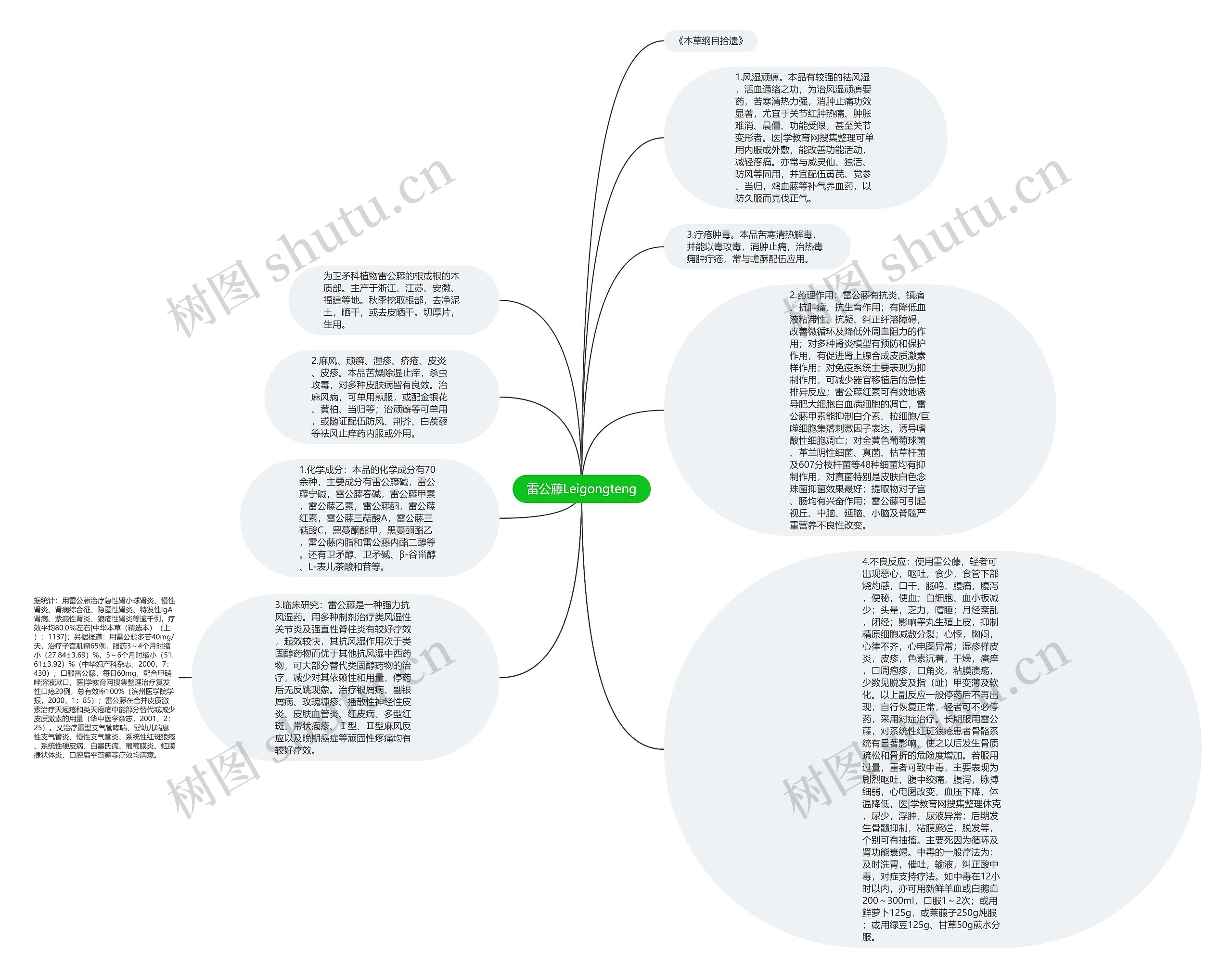 雷公藤Leigongteng思维导图