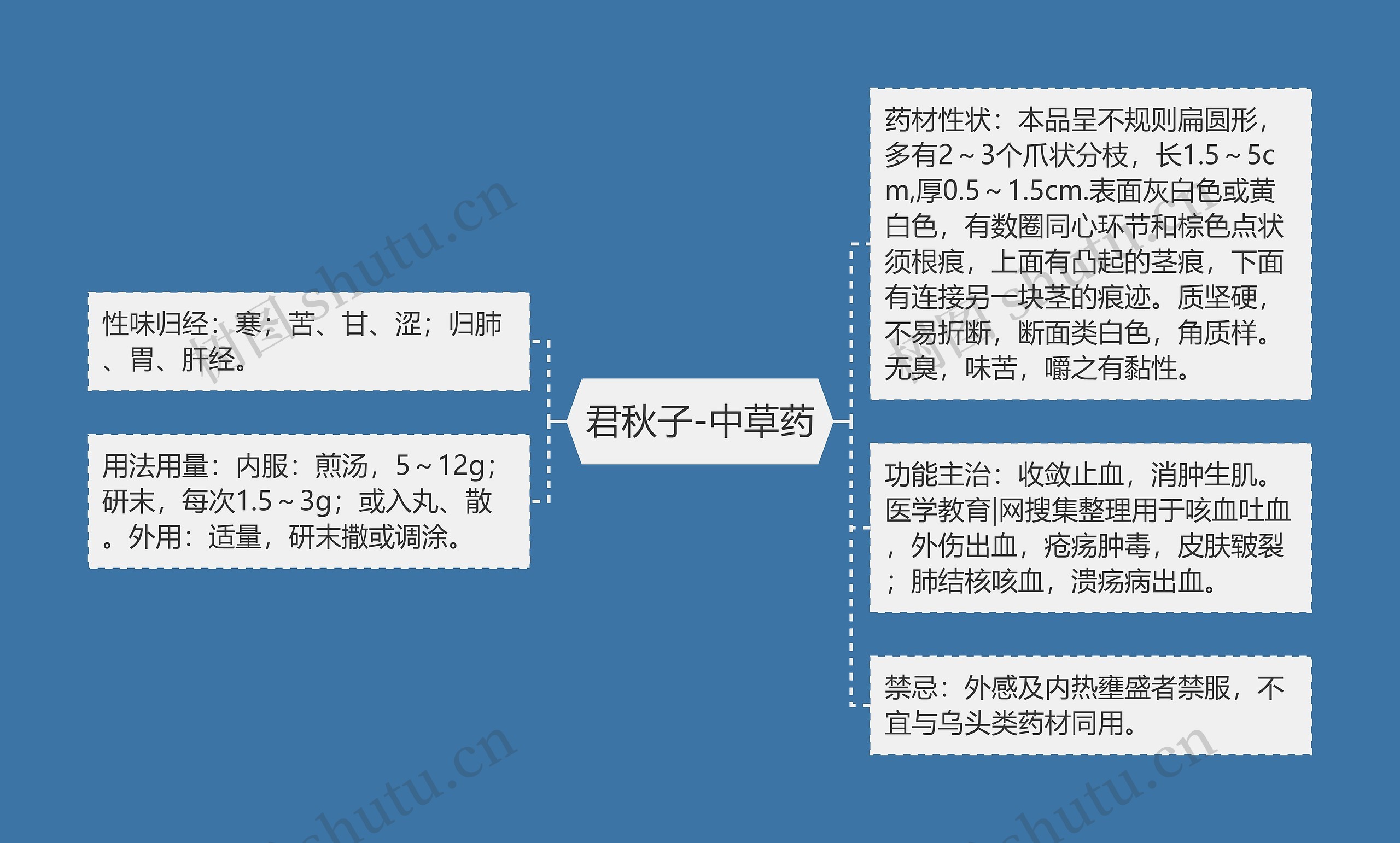君秋子-中草药思维导图
