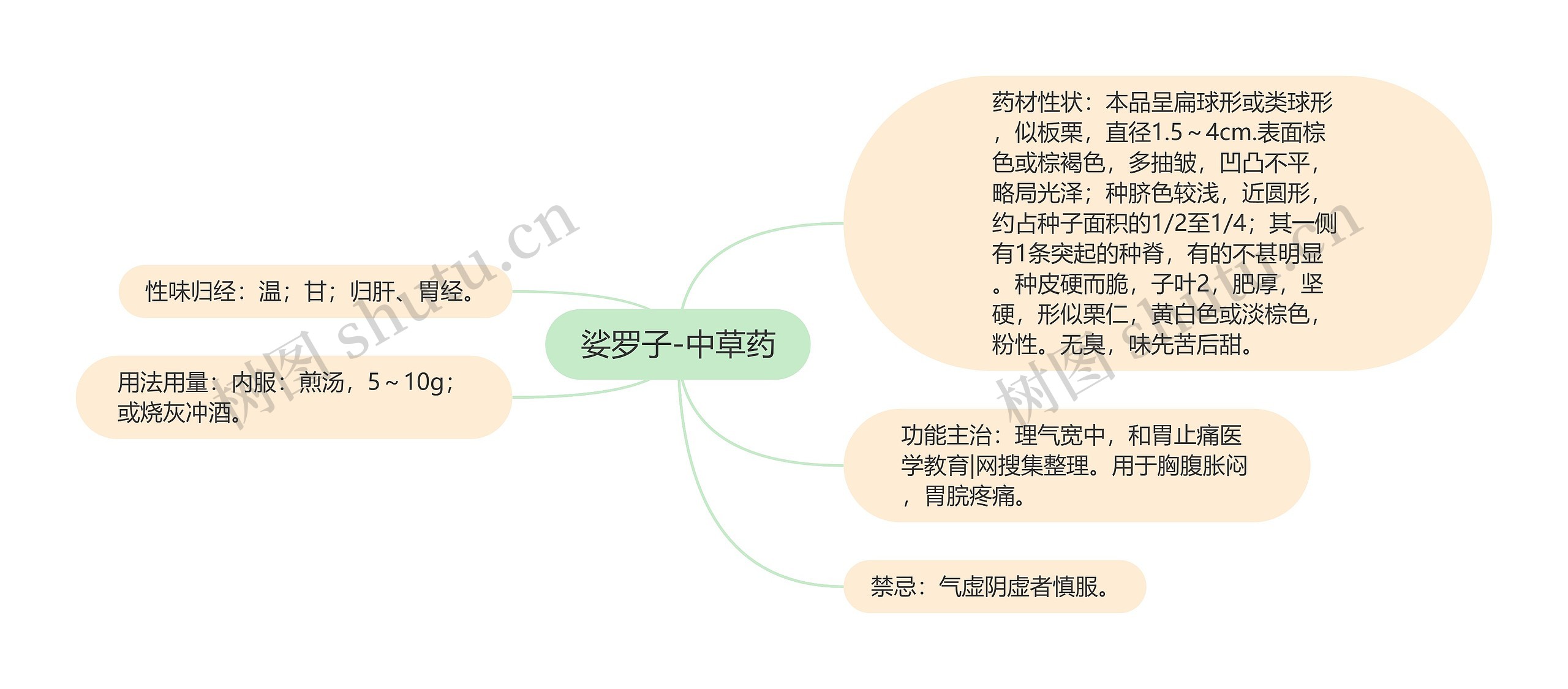 娑罗子-中草药思维导图