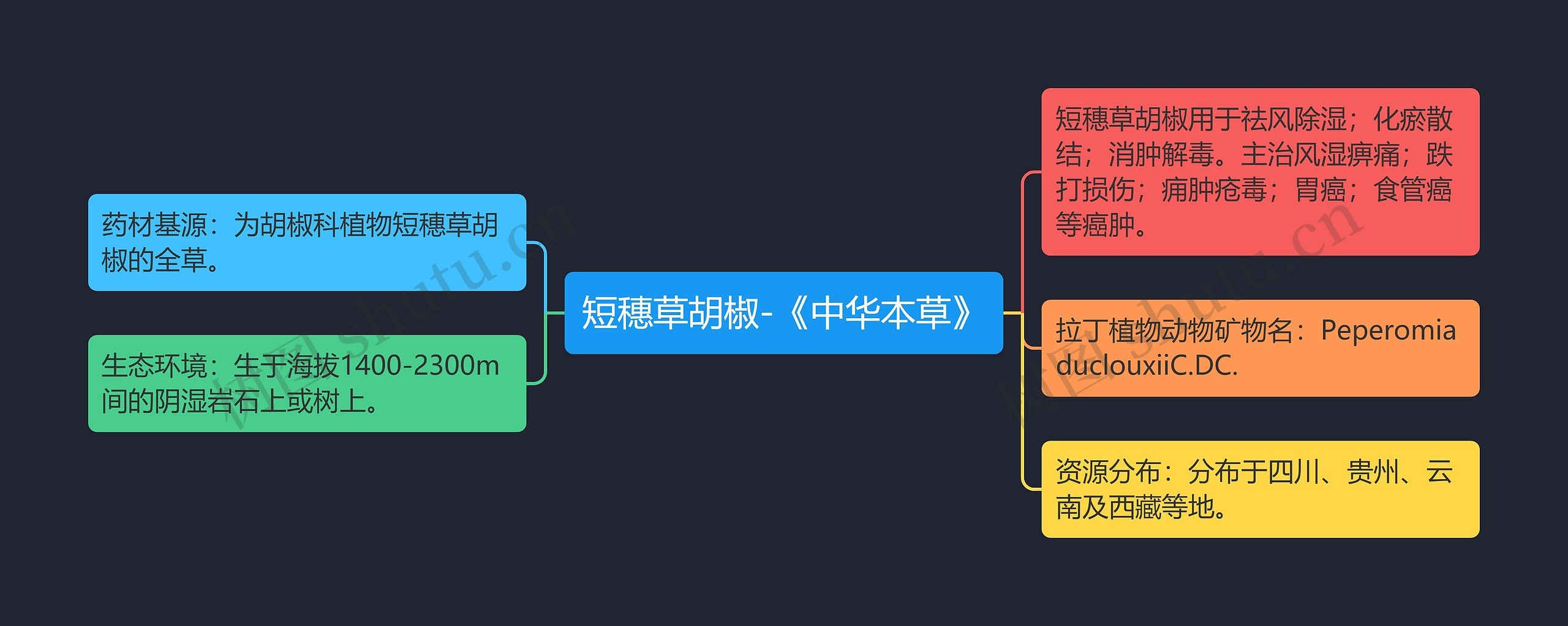 短穗草胡椒-《中华本草》思维导图