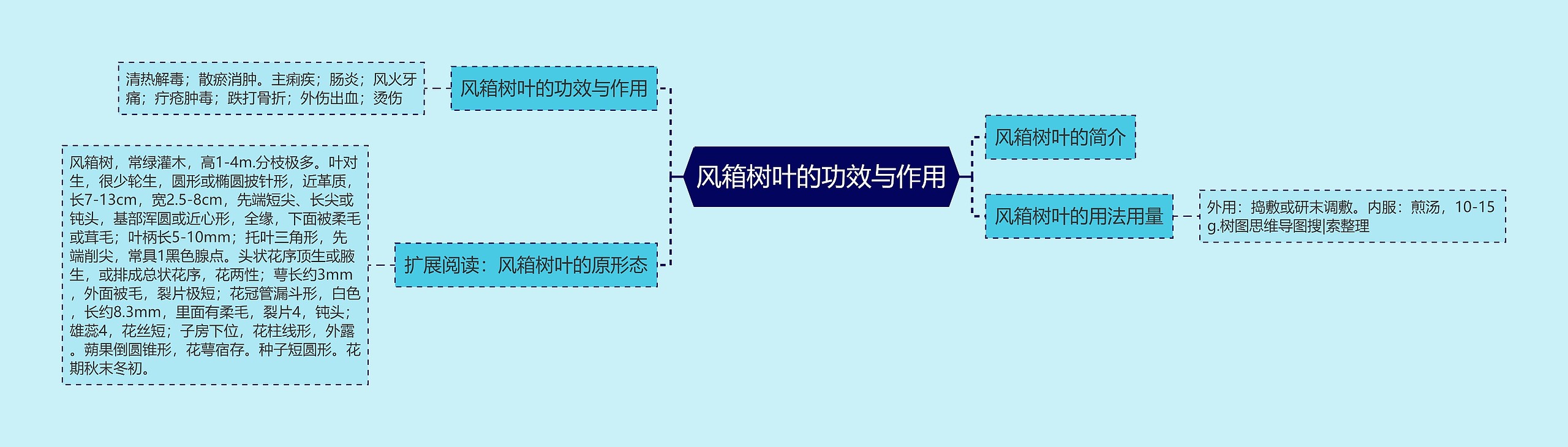 风箱树叶的功效与作用思维导图