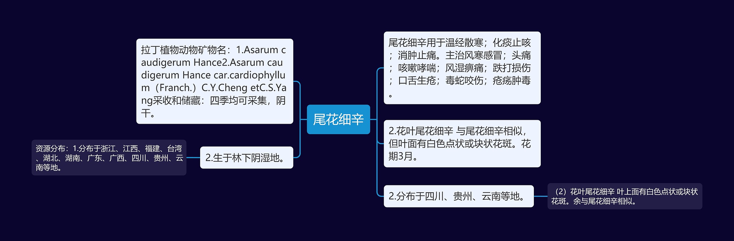 尾花细辛思维导图