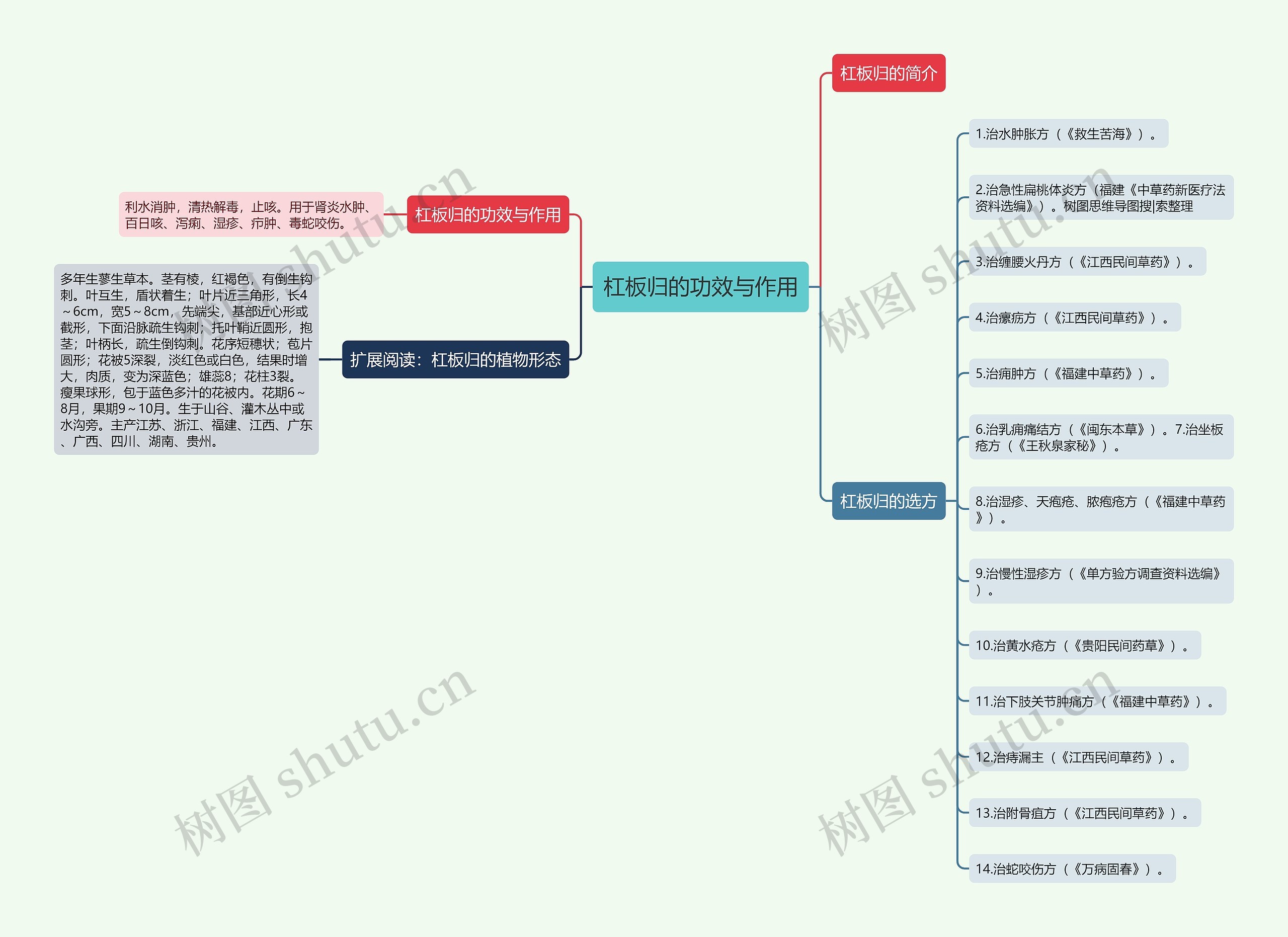 杠板归的功效与作用 杠板归的功效与作用