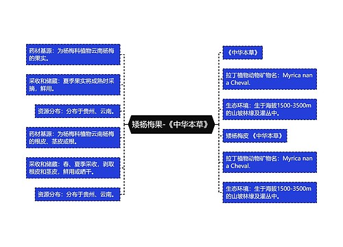 矮杨梅果-《中华本草》