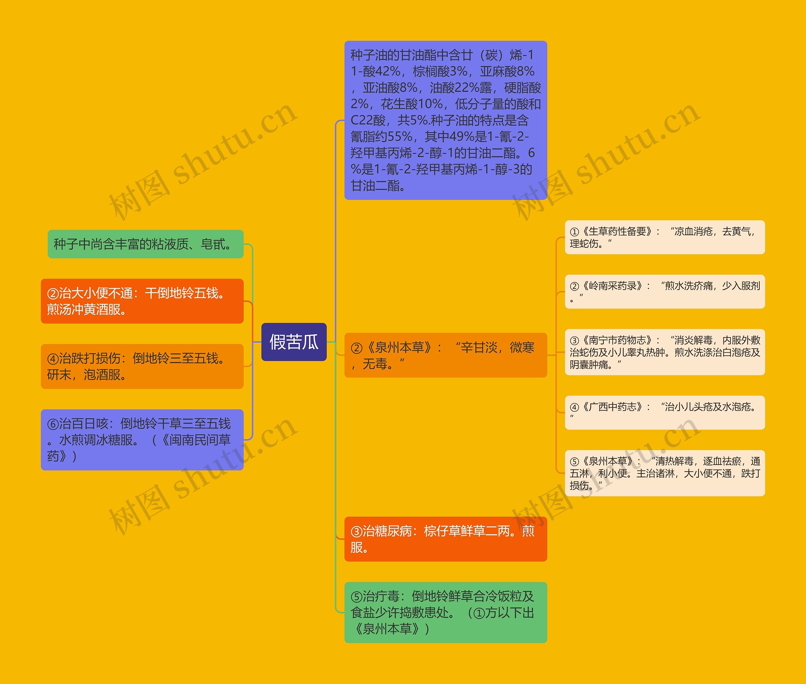 假苦瓜思维导图