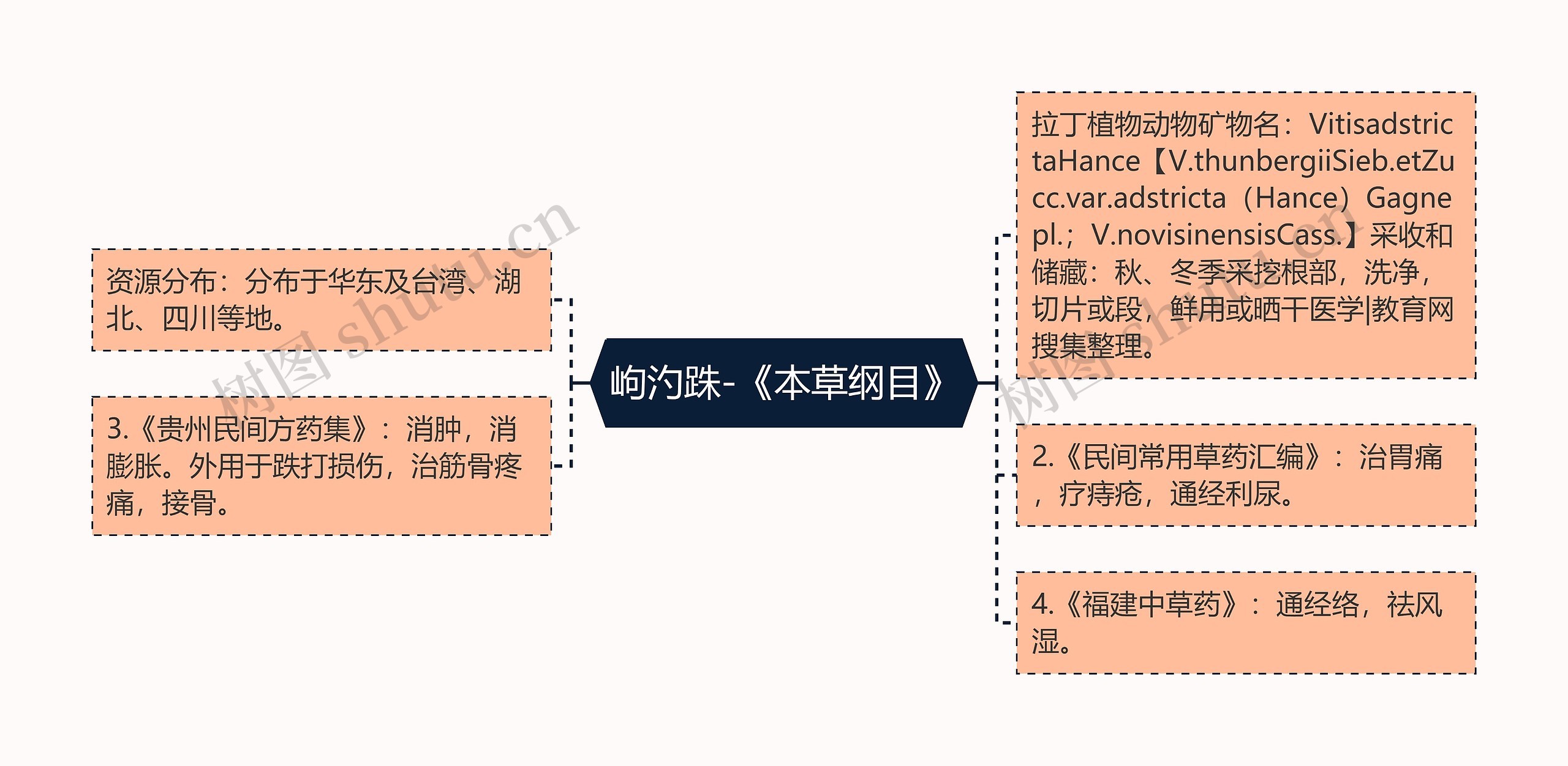 岣汋跦-《本草纲目》思维导图