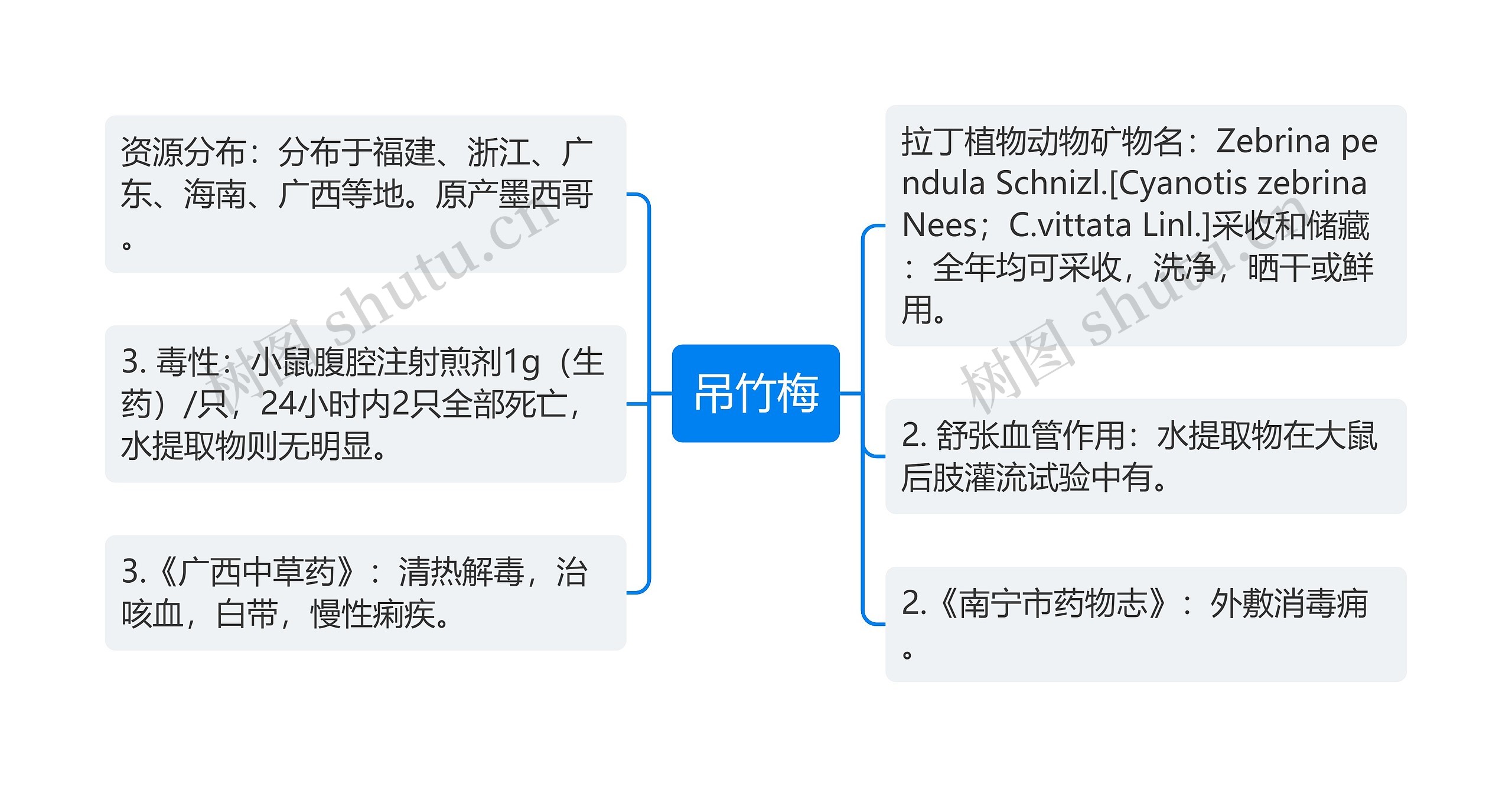 吊竹梅