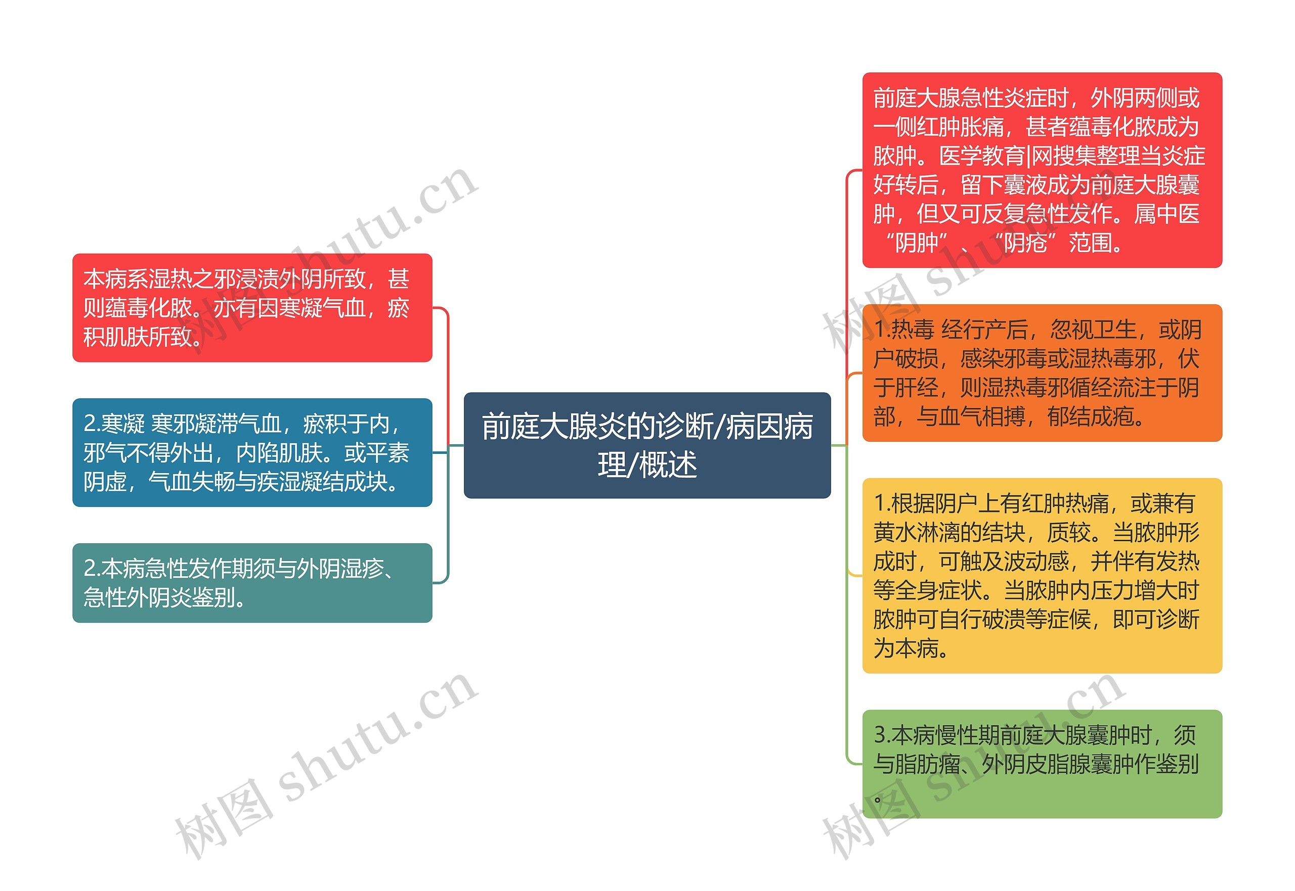 前庭大腺炎的诊断/病因病理/概述思维导图