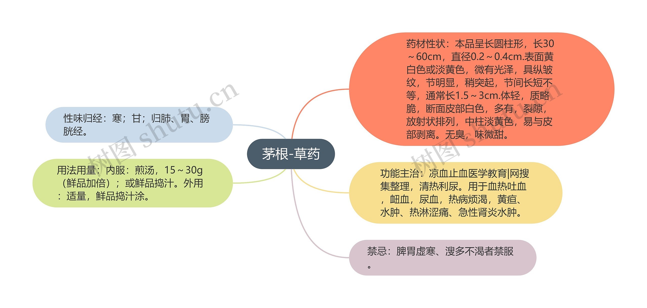 茅根-草药思维导图