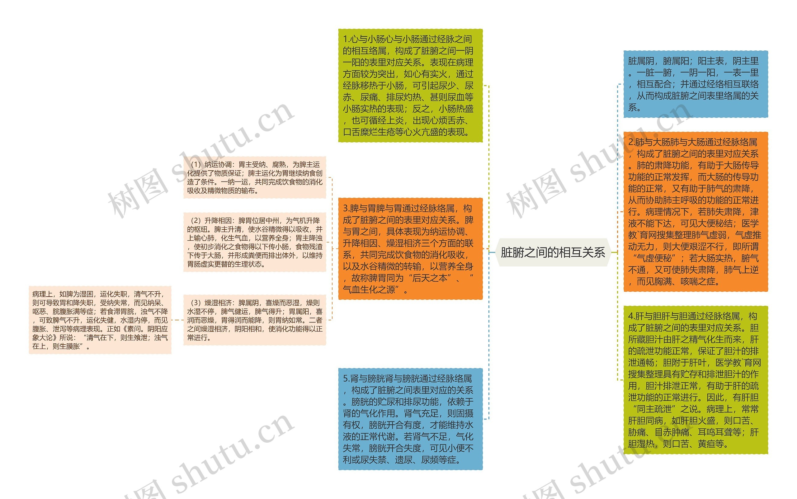 脏腑之间的相互关系思维导图