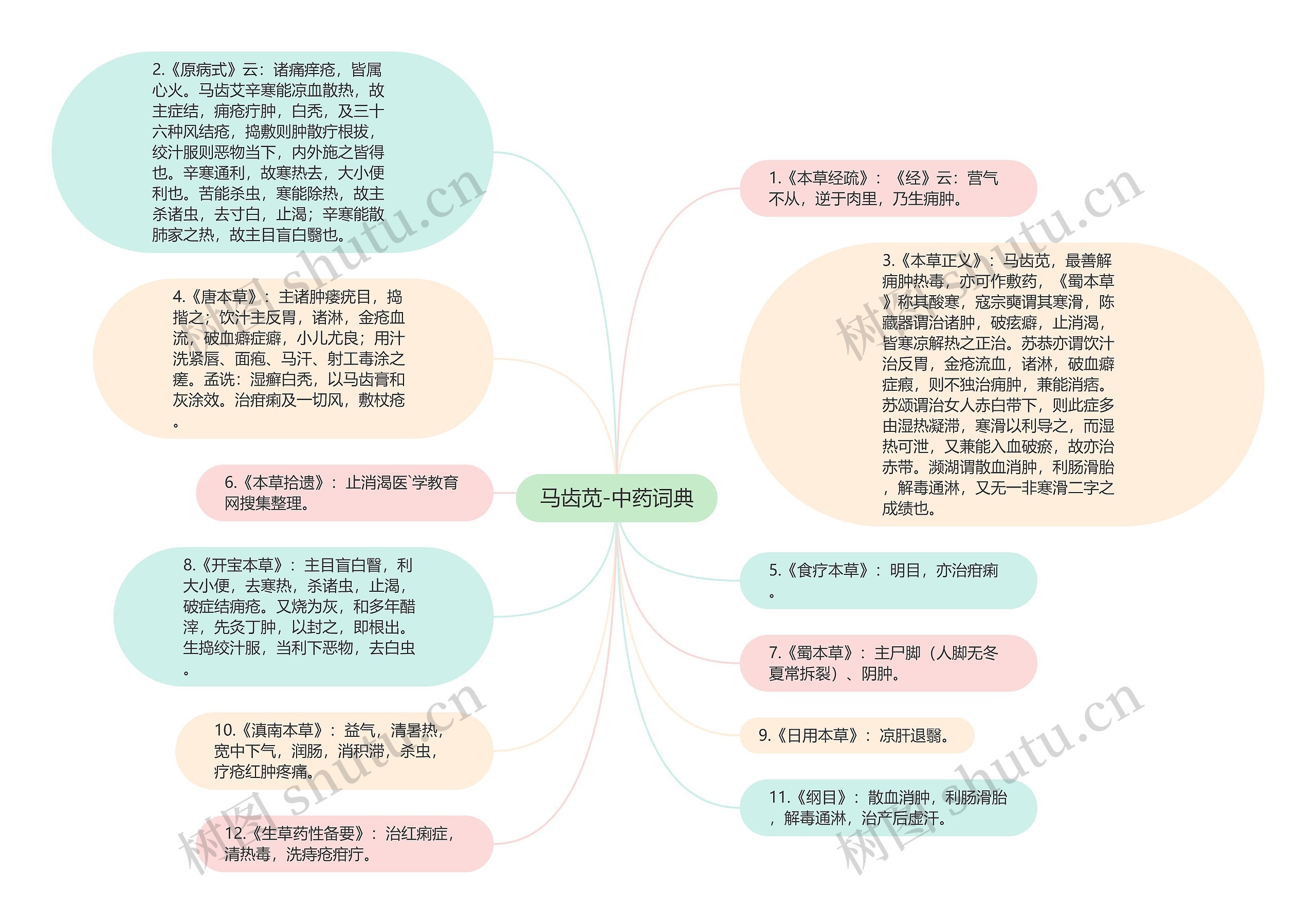 马齿苋-中药词典思维导图