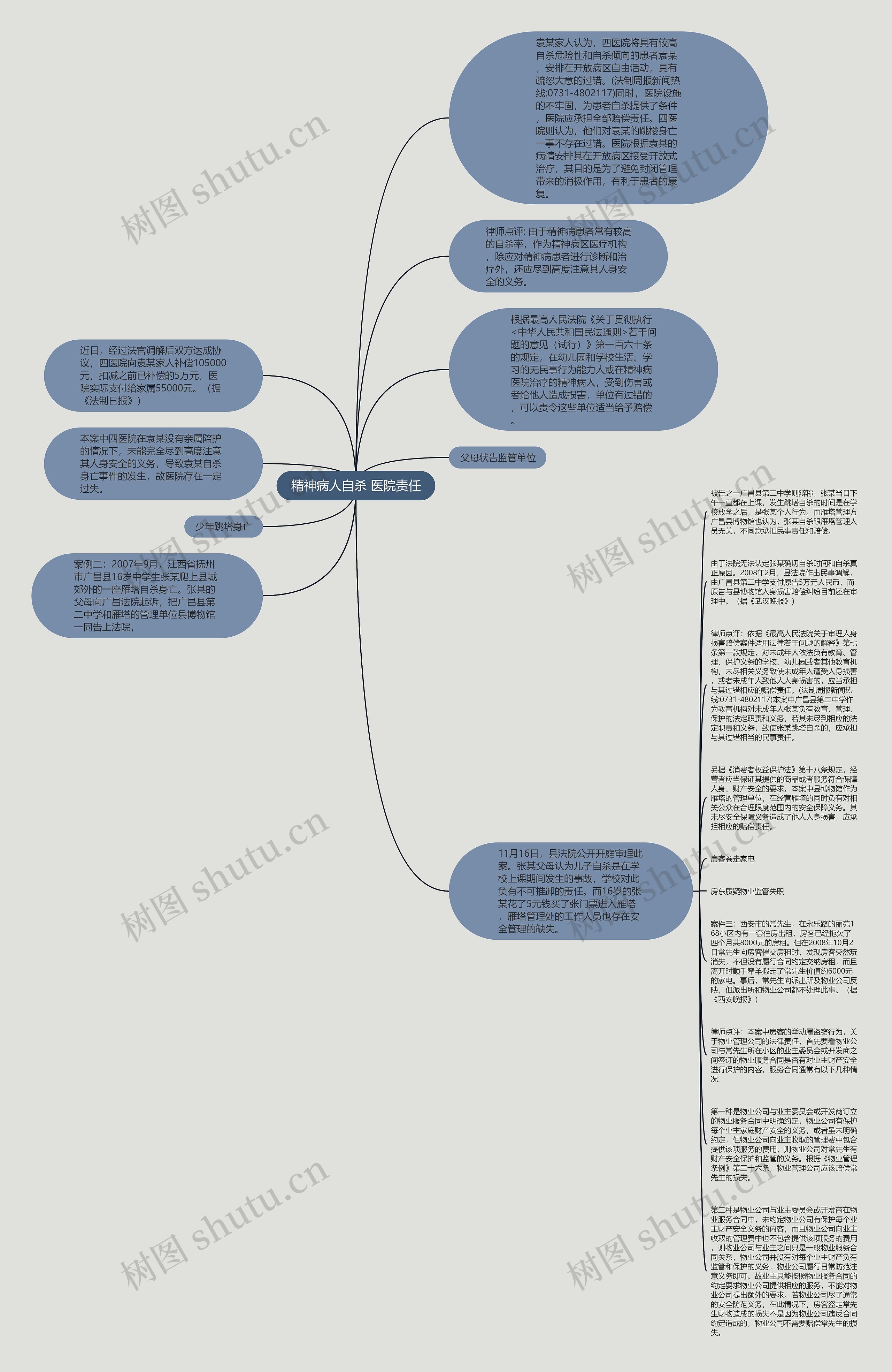 精神病人自杀 医院责任思维导图