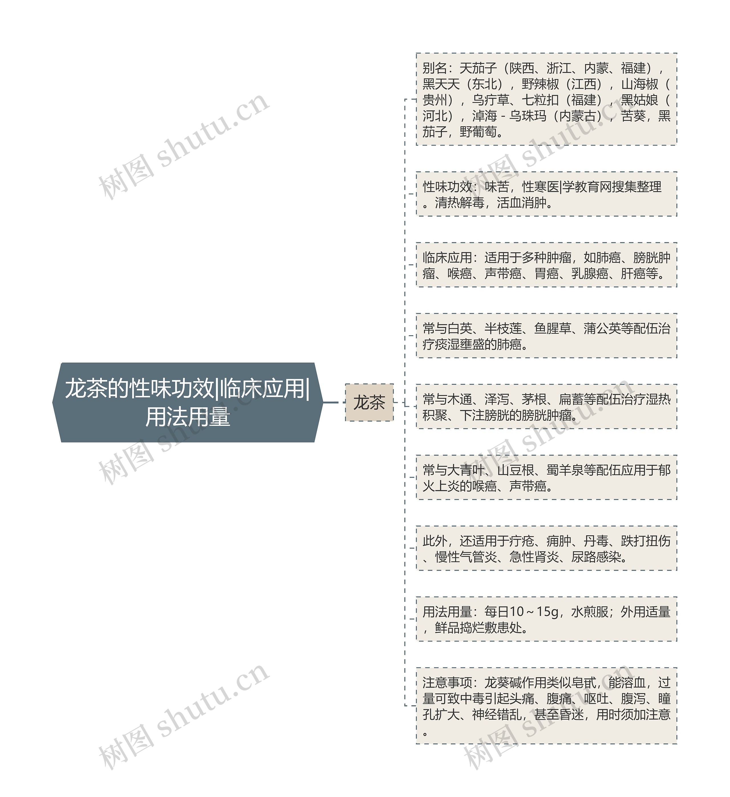 龙茶的性味功效|临床应用|用法用量思维导图