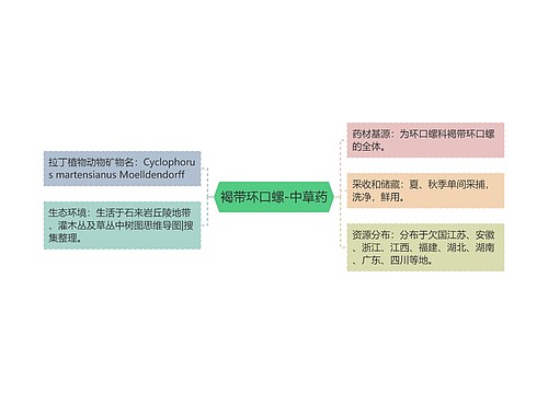 褐带环口螺-中草药