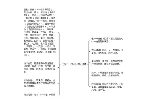 七叶一枝花-中药材