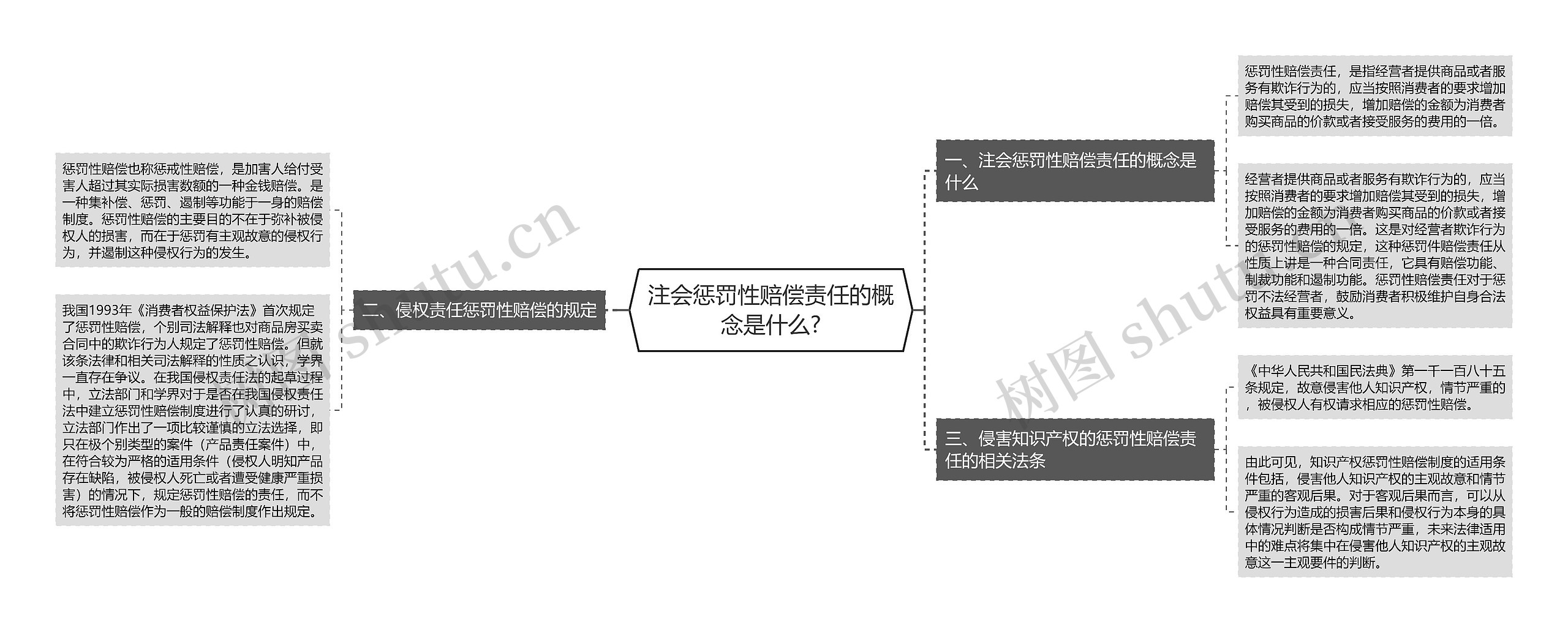 注会惩罚性赔偿责任的概念是什么?