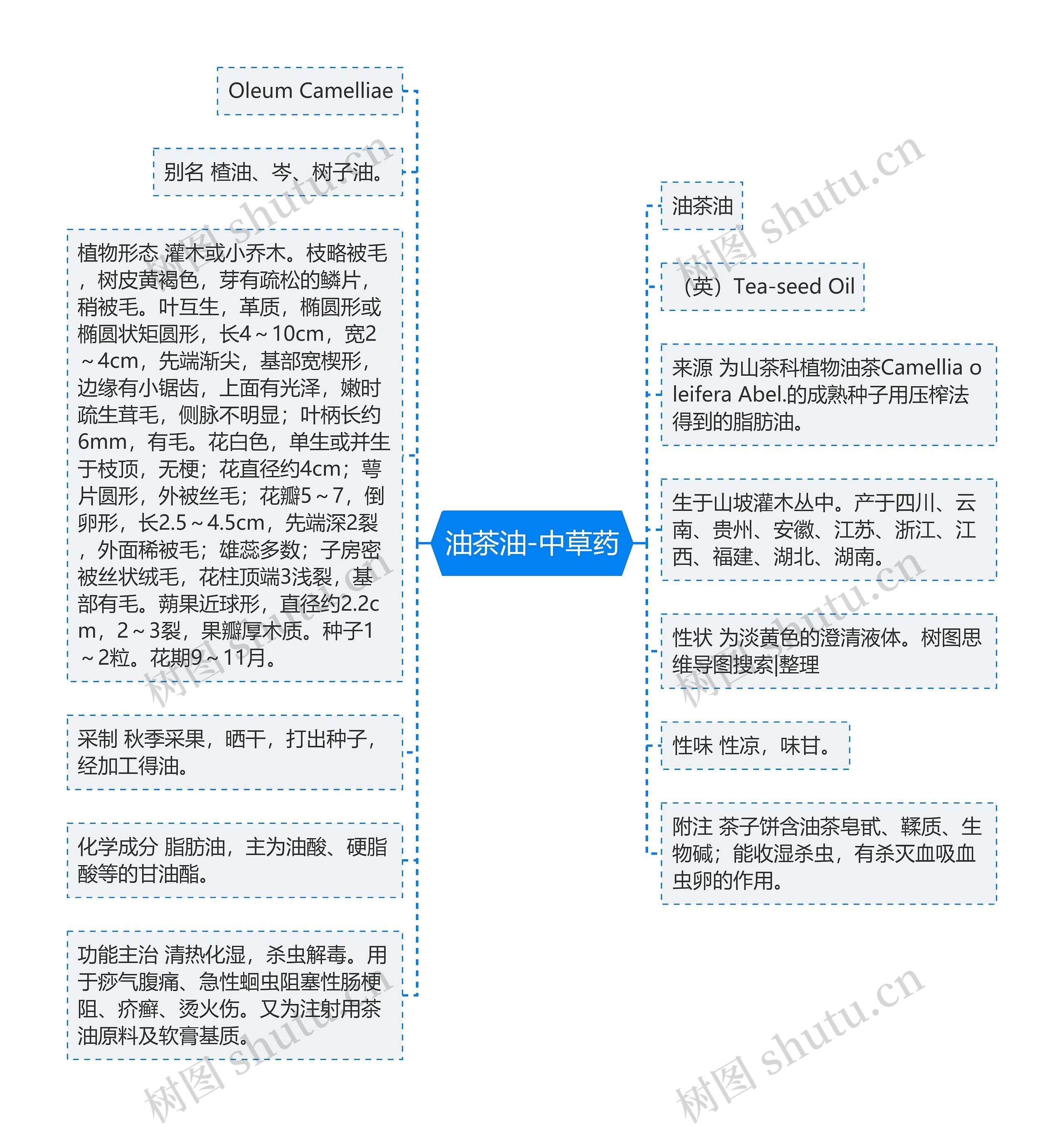 油茶油-中草药思维导图