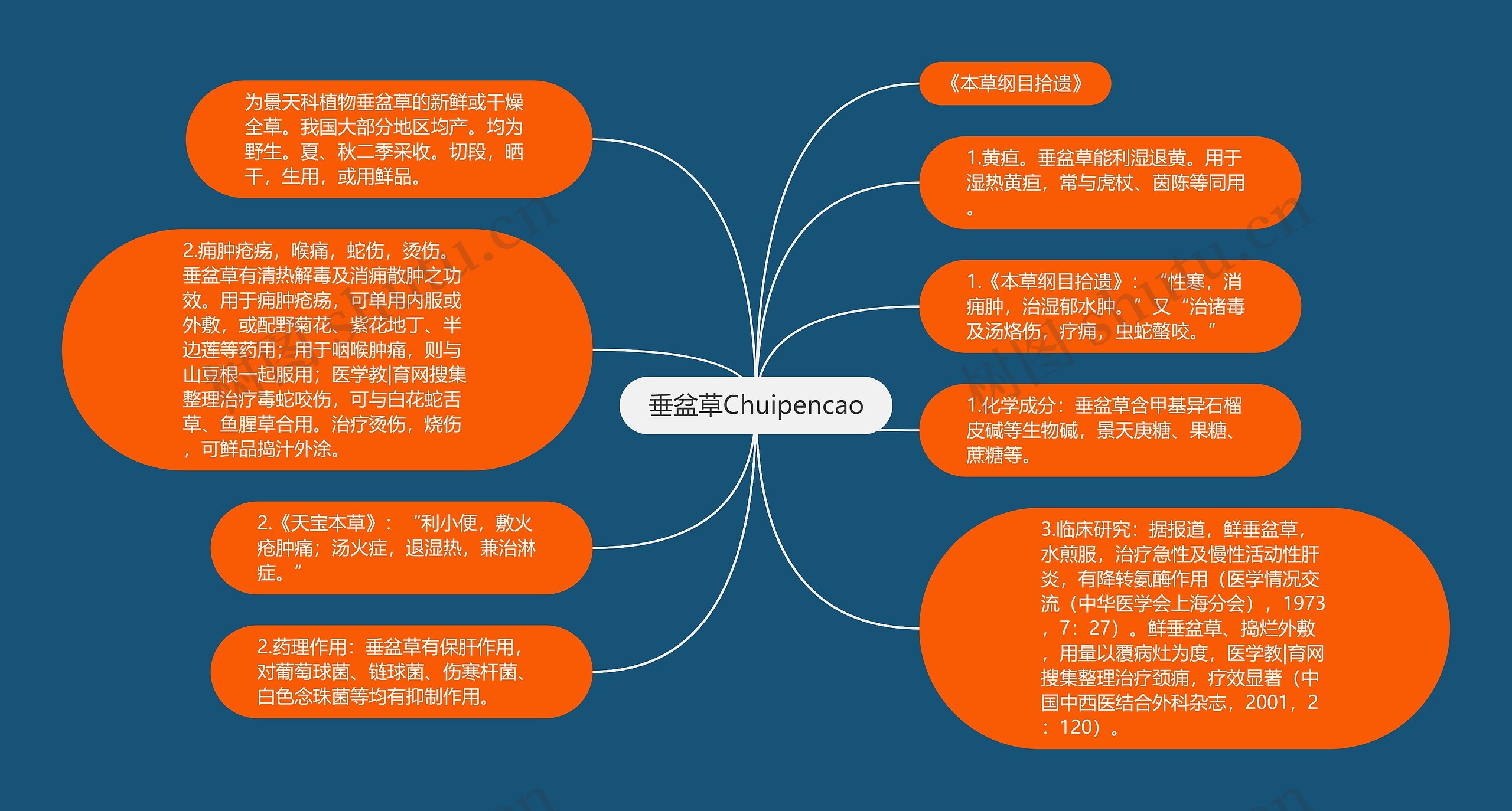 垂盆草Chuipencao思维导图