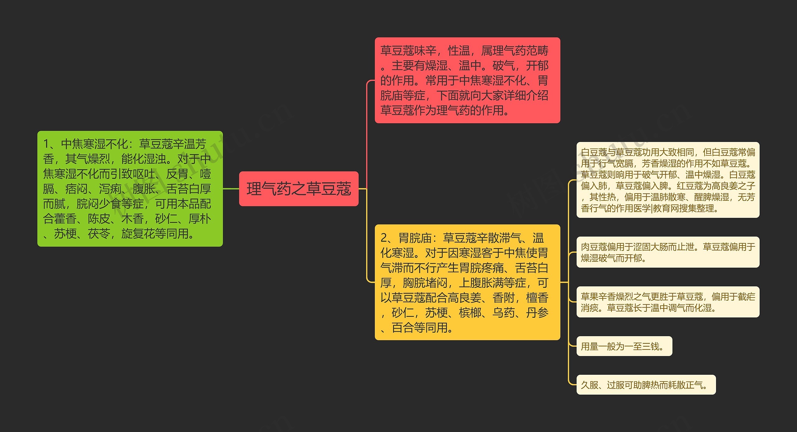 理气药之草豆蔻