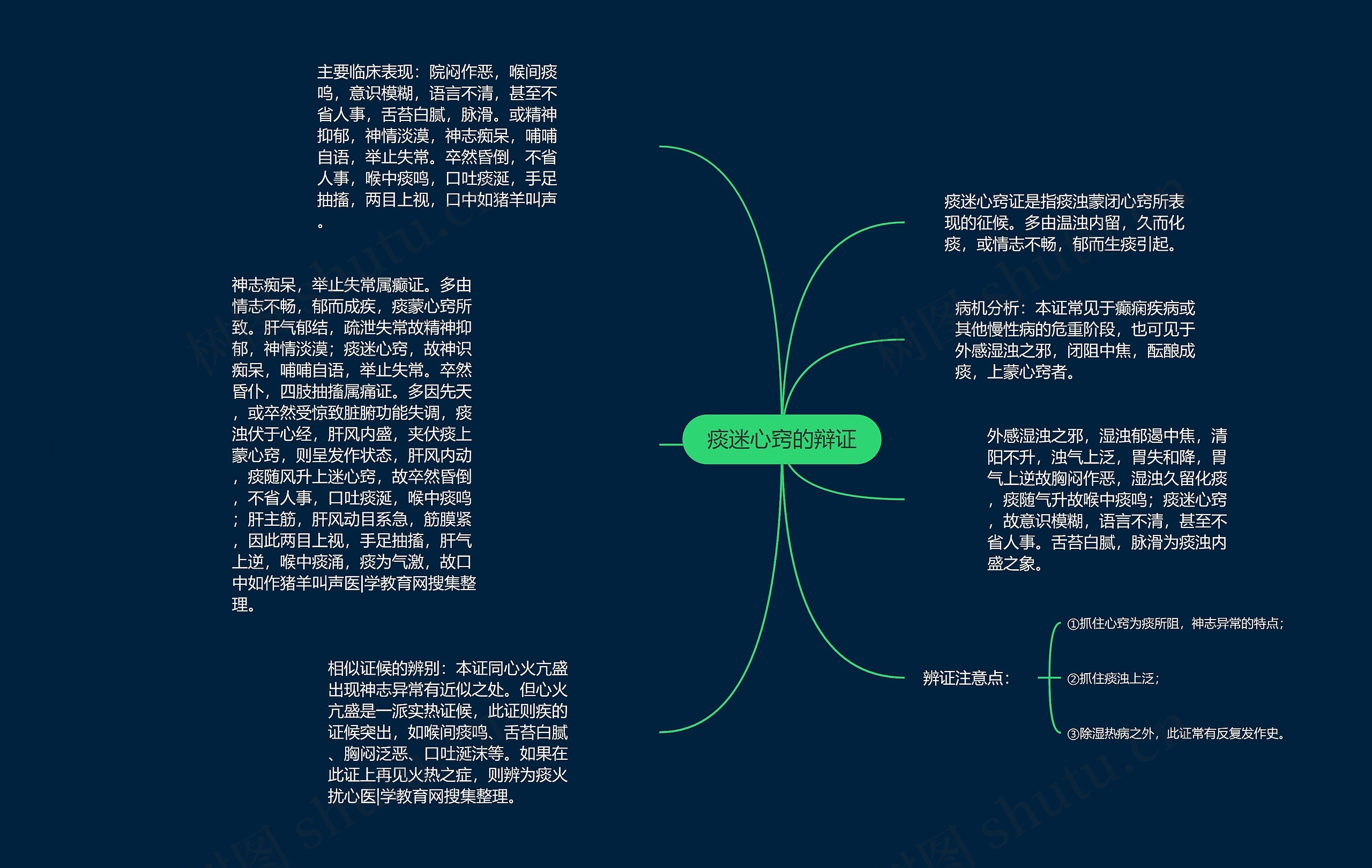 痰迷心窍的辩证思维导图