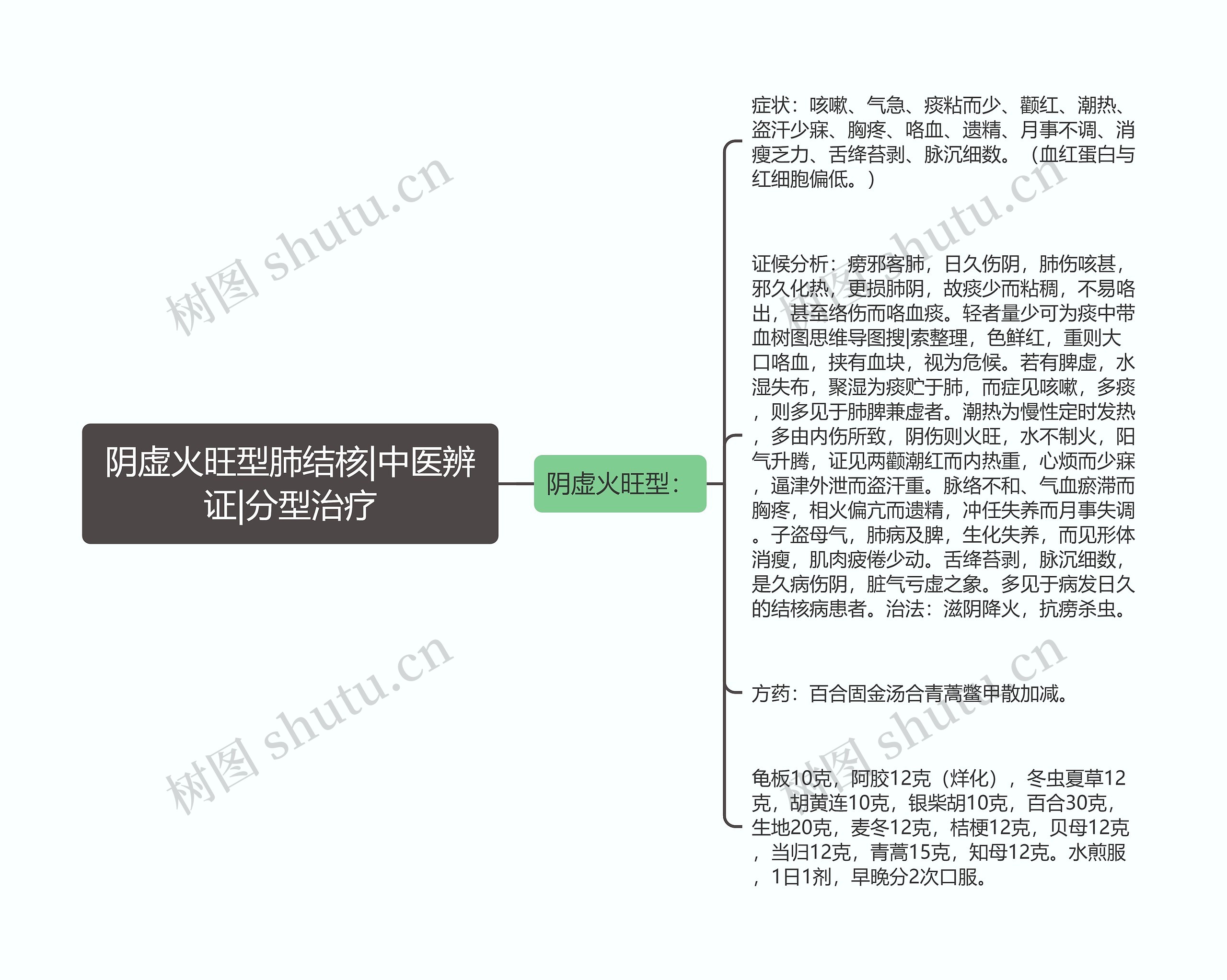 阴虚火旺型肺结核|中医辨证|分型治疗思维导图