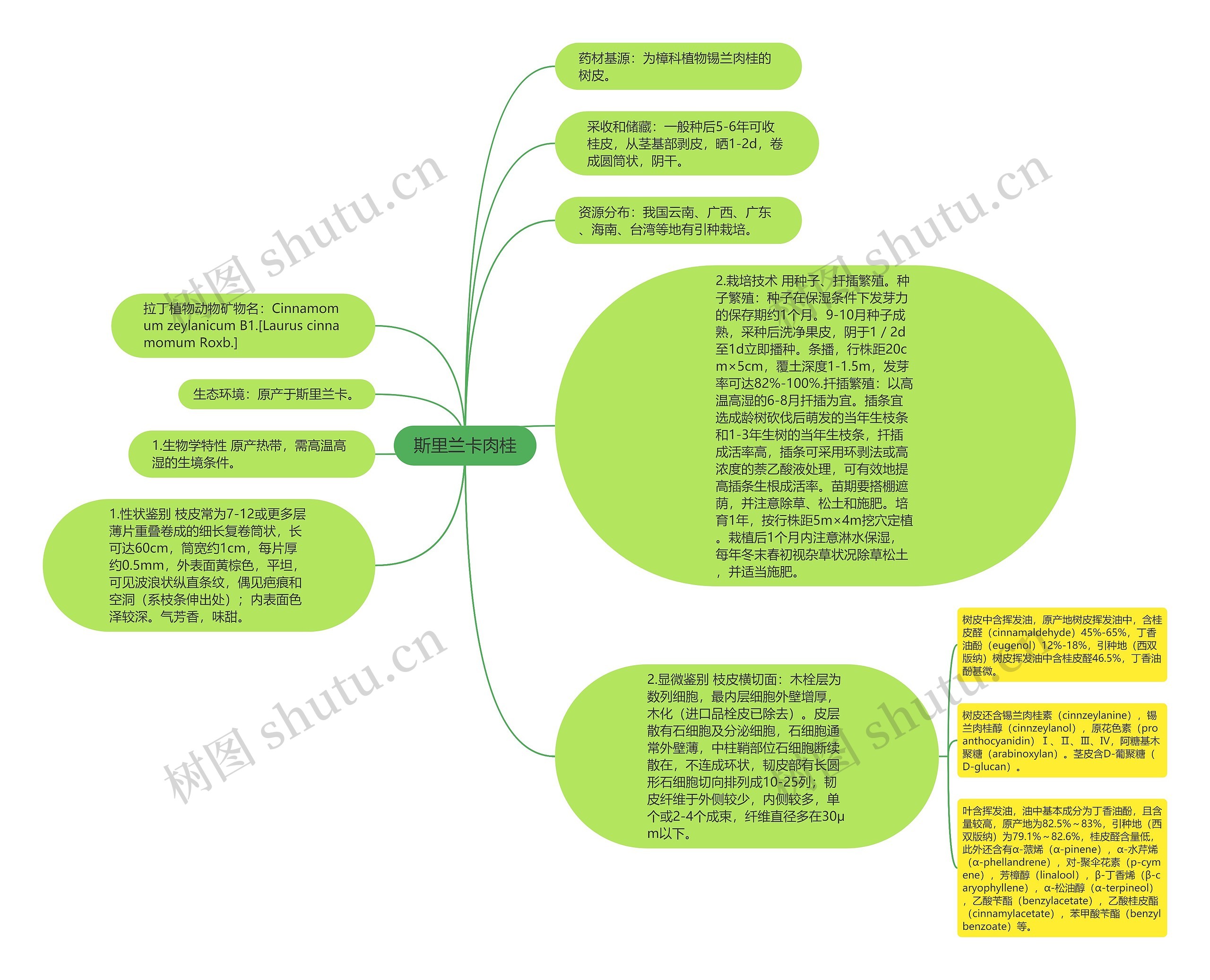 斯里兰卡肉桂思维导图
