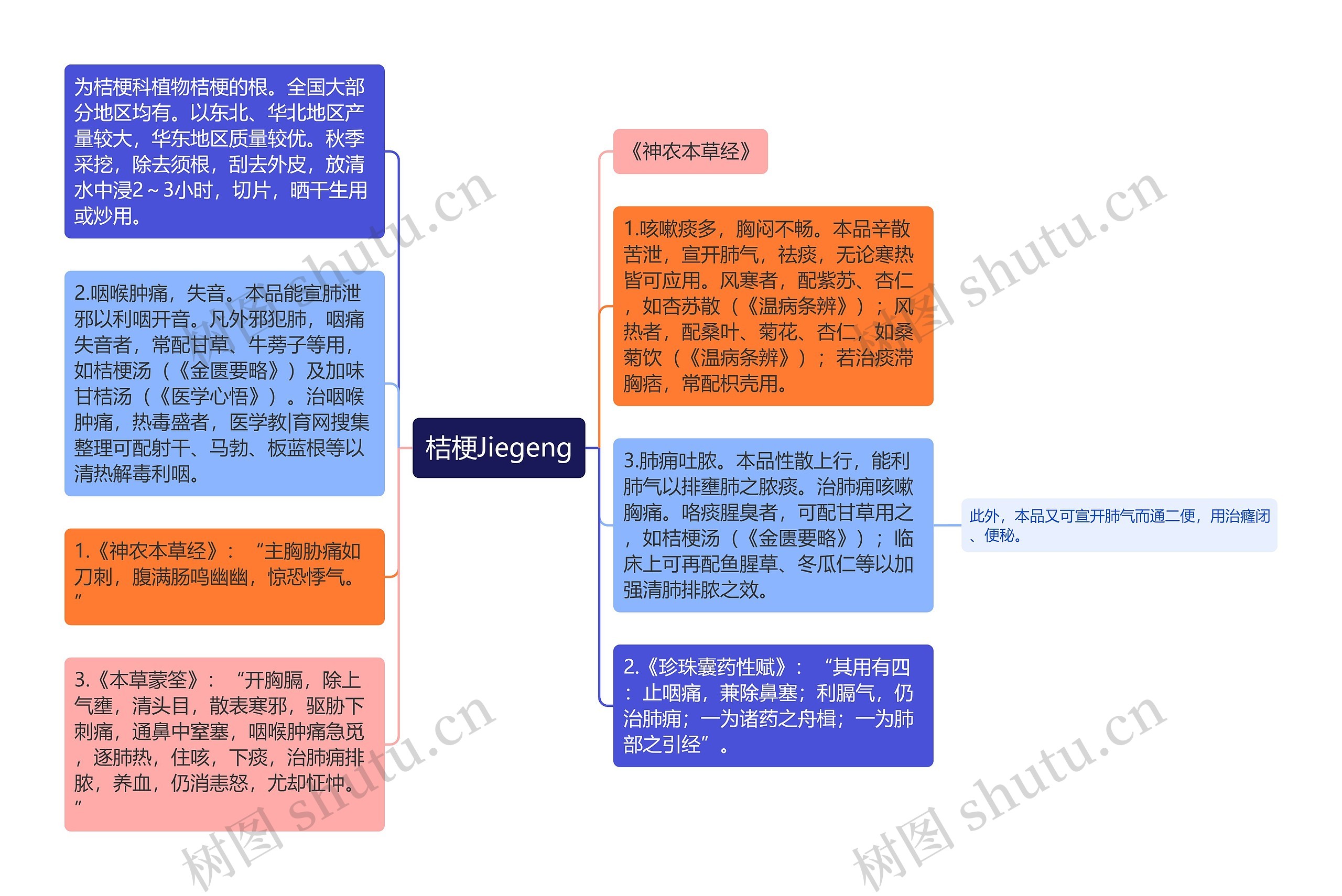 桔梗Jiegeng思维导图