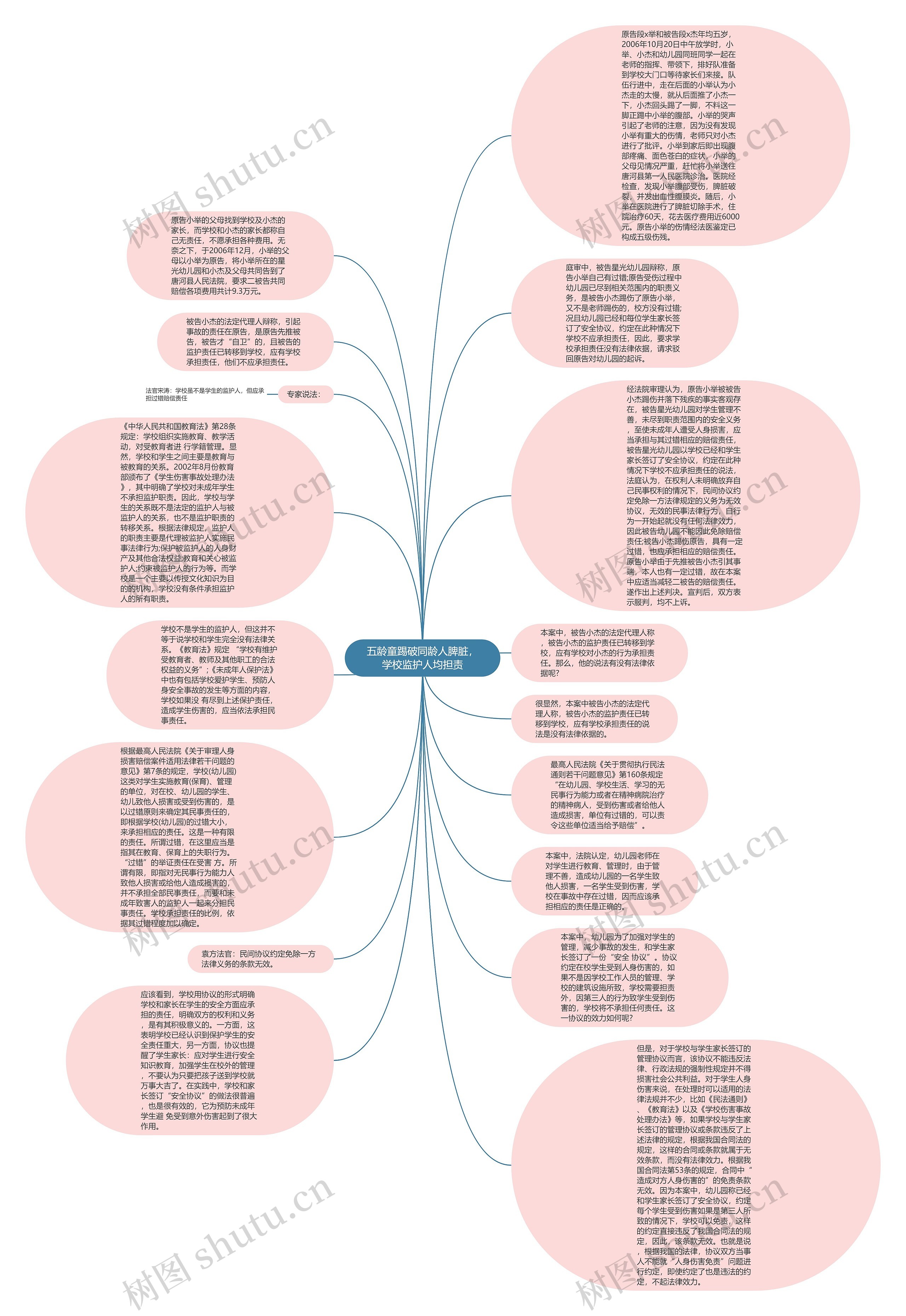 五龄童踢破同龄人脾脏，学校监护人均担责思维导图