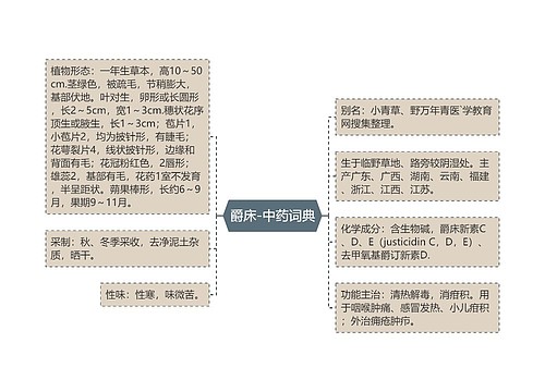 爵床-中药词典