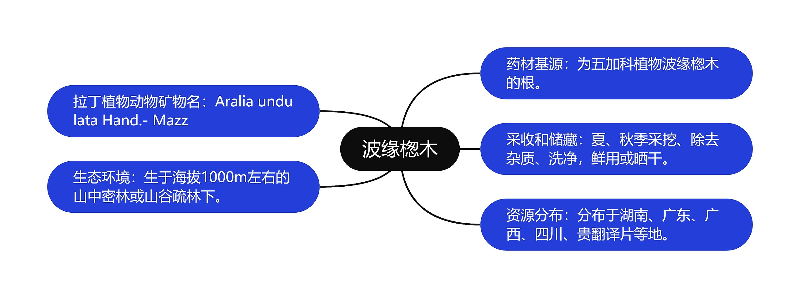 波缘楤木思维导图