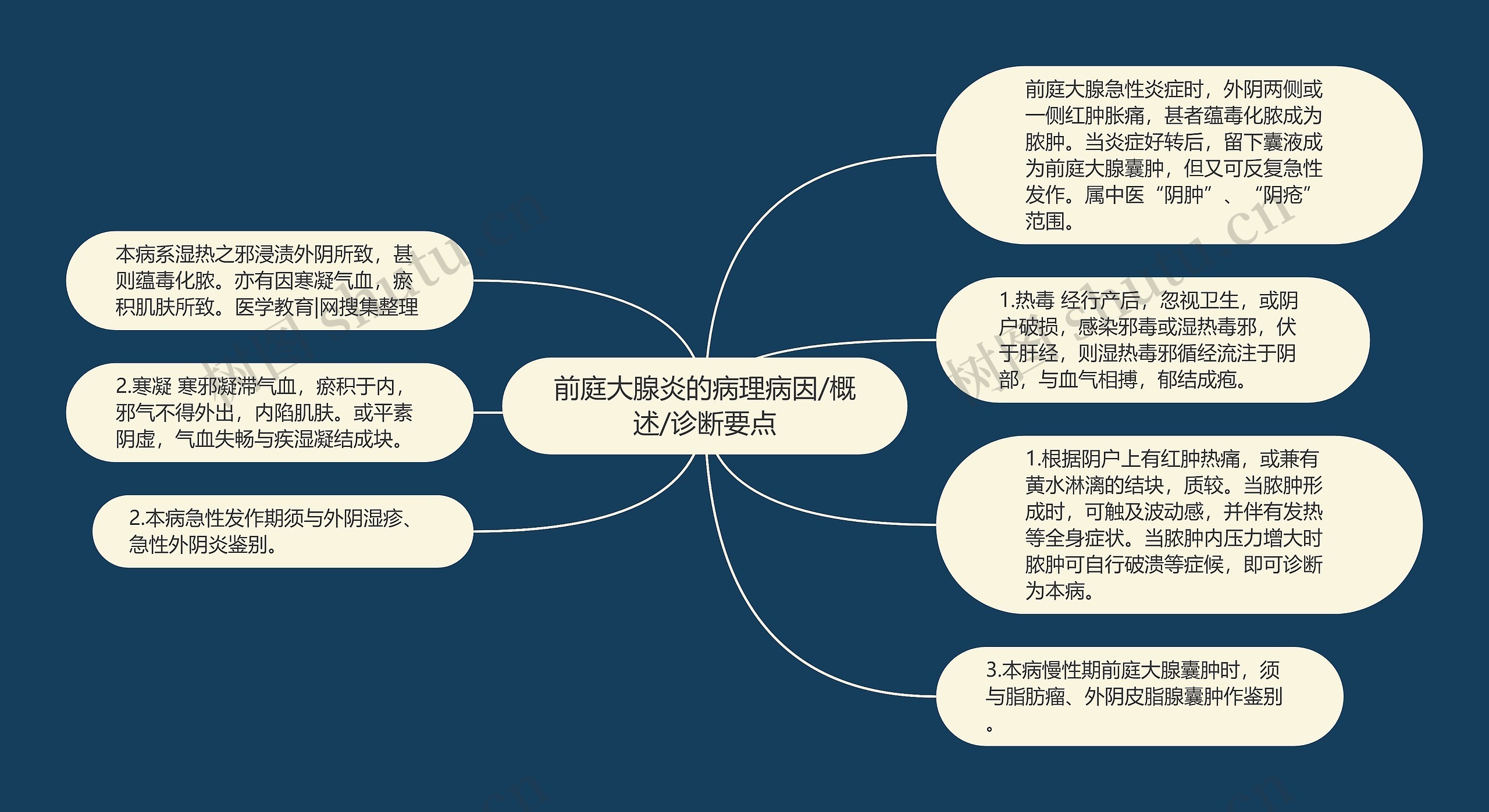 前庭大腺炎的病理病因/概述/诊断要点思维导图