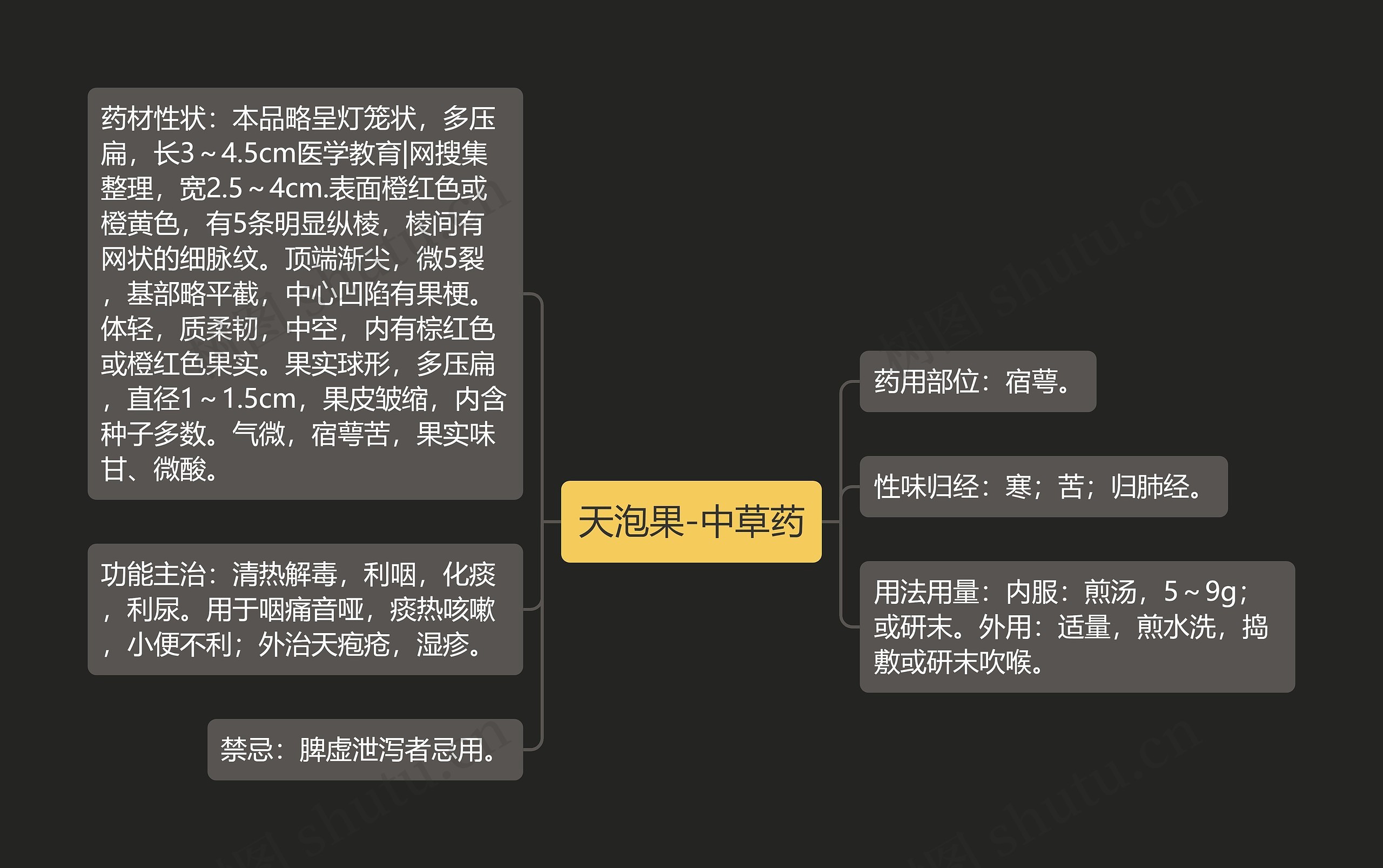 天泡果-中草药思维导图