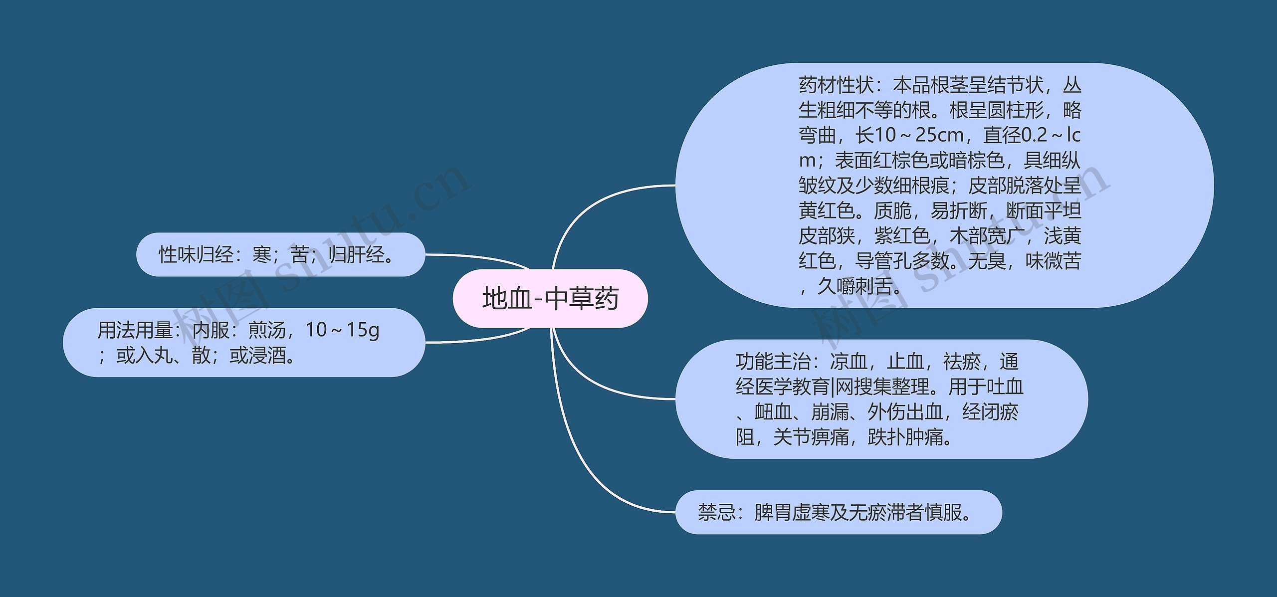 地血-中草药思维导图